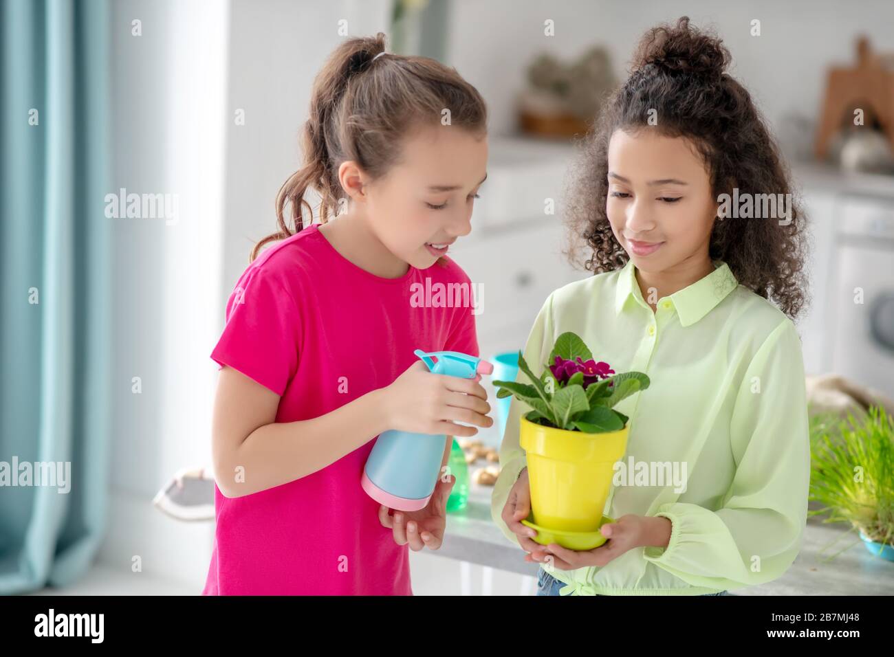 Ragazze che annaffano un vaso di fiori con viola rosa. Foto Stock