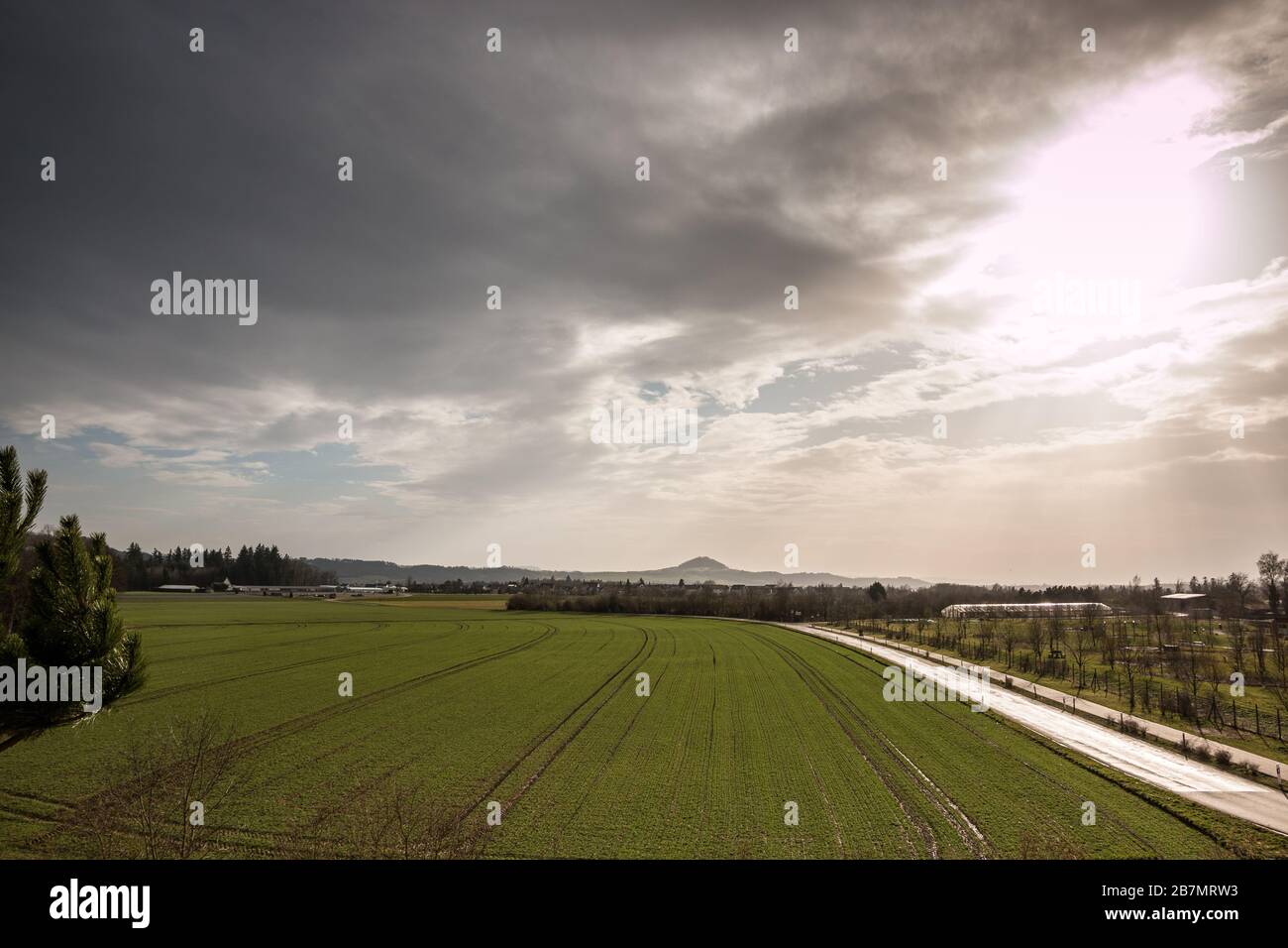 Verde campo agricolo con piante verdi e il cielo nuvoloso Foto Stock