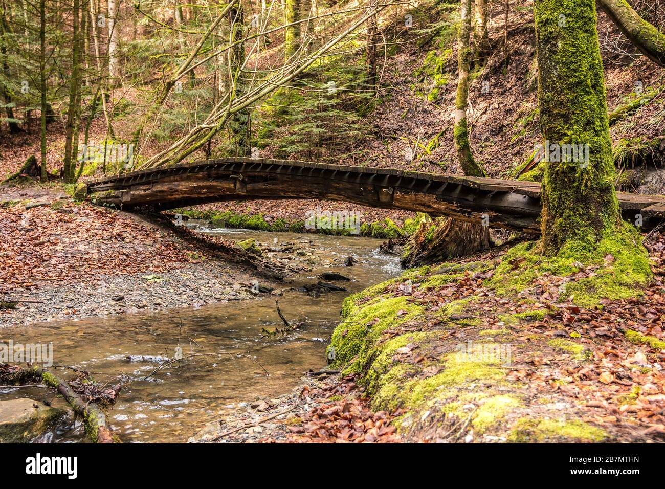 Piccolo ponte attraverso il torrente lungo il canyon nel mezzo della foresta verde Foto Stock