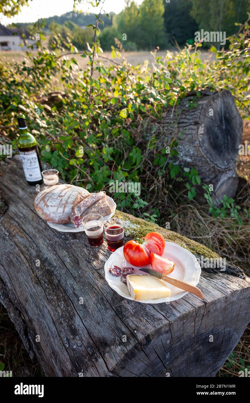 Un pic-nic in prima serata nella Francia rurale (il Lot) utilizzando un tronco di albero come una tavola, prodotti locali, e piatti e bicchieri provenienti da un mercato delle pulci Foto Stock