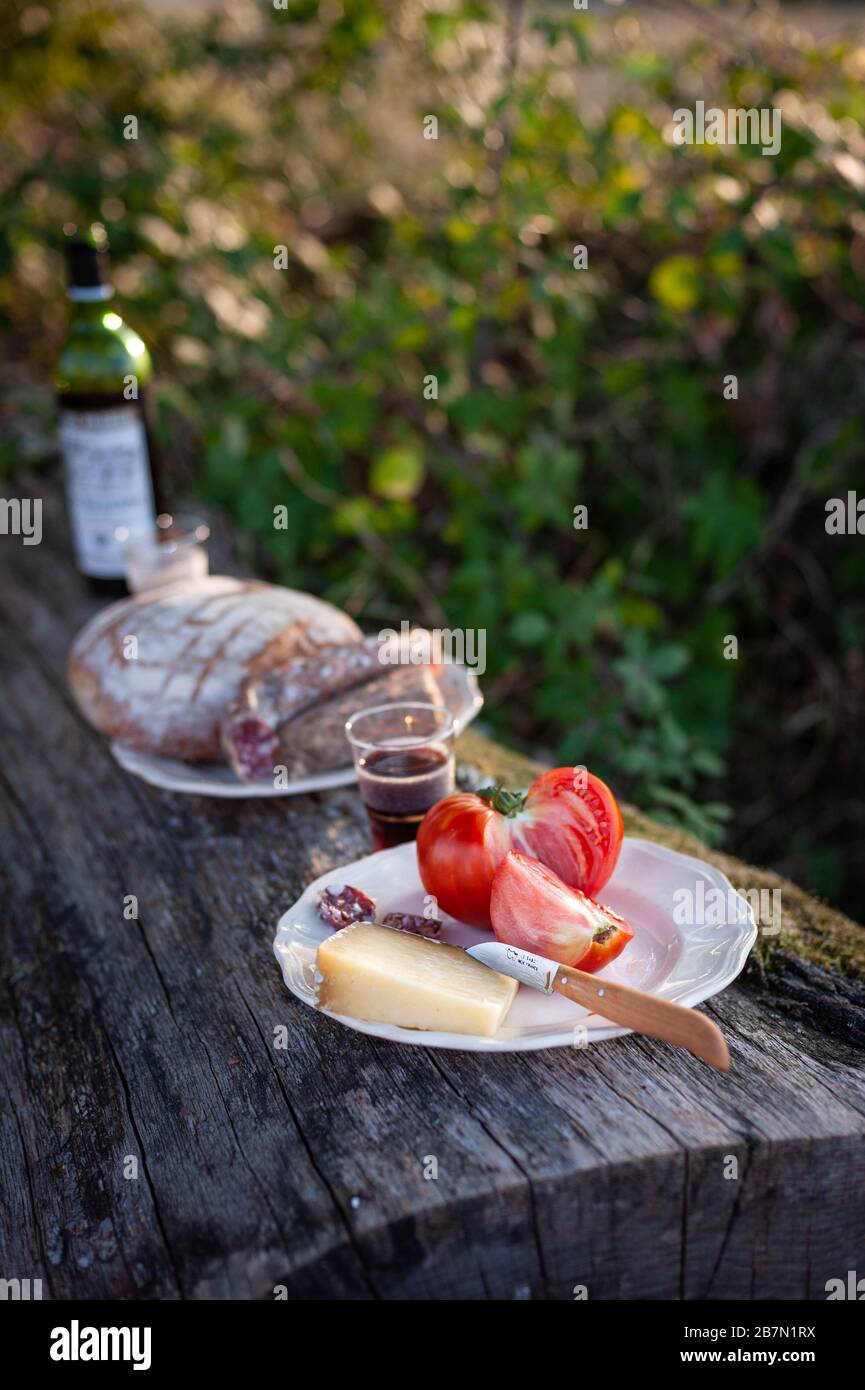 Un pic-nic in prima serata nella Francia rurale (il Lot) utilizzando un tronco di albero come una tavola, prodotti locali, e piatti e bicchieri provenienti da un mercato delle pulci Foto Stock