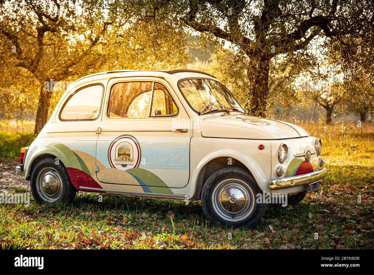 Assisi, Italia. 3 Gennaio 2020. Un vecchio FIAT 500 parcheggiato in un oliveto. Foto Stock