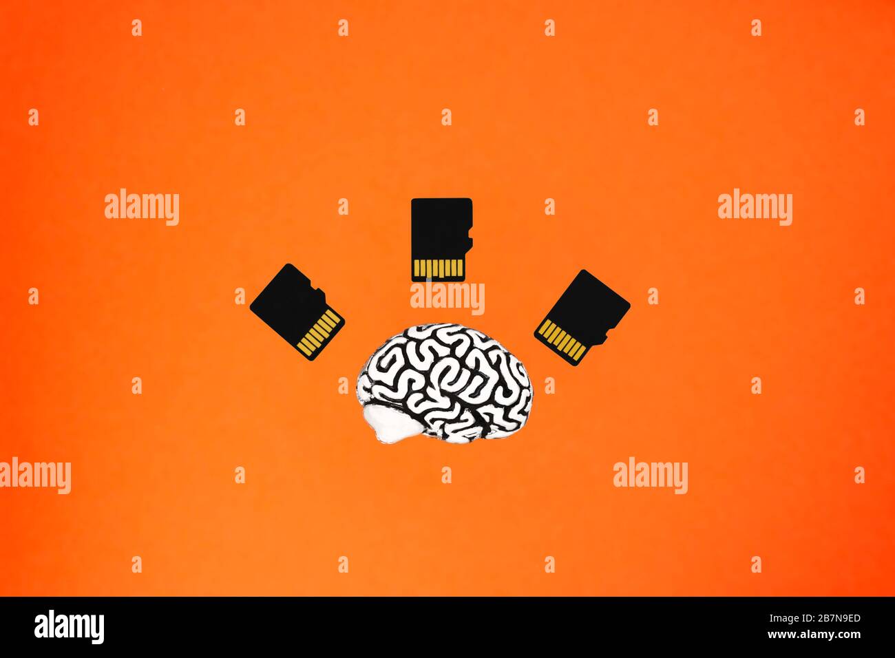 Un piccolo modello di cervello umano e tre schede di memoria che giacciono su uno sfondo arancione. Vista frontale dall'alto. Concetto di intelligenza artificiale. Foto Stock