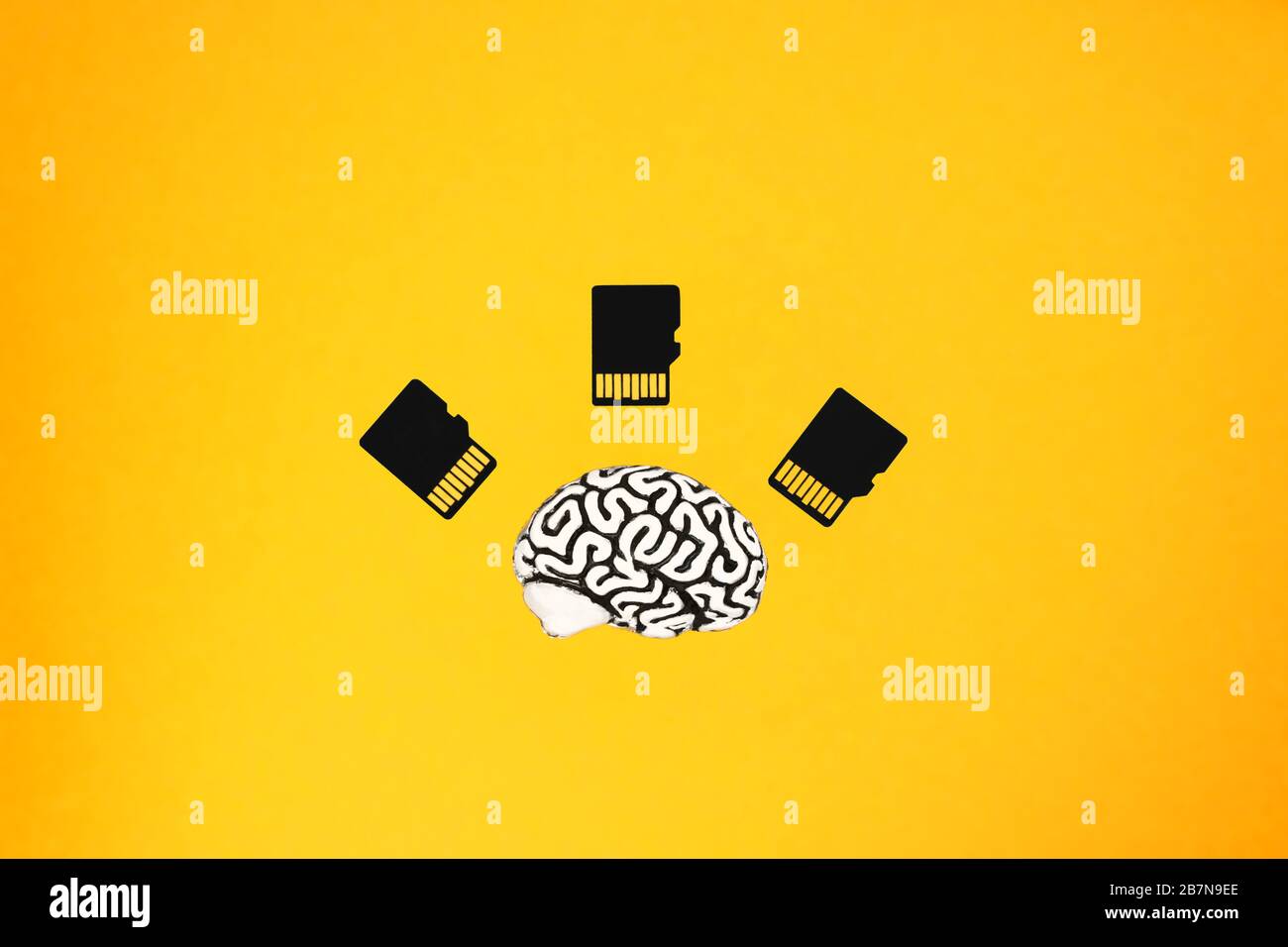 Modello del cervello umano situato vicino a tre schede micro SD su sfondo giallo. Vista frontale dall'alto. Concetto di formazione assistita dal computer. Foto Stock