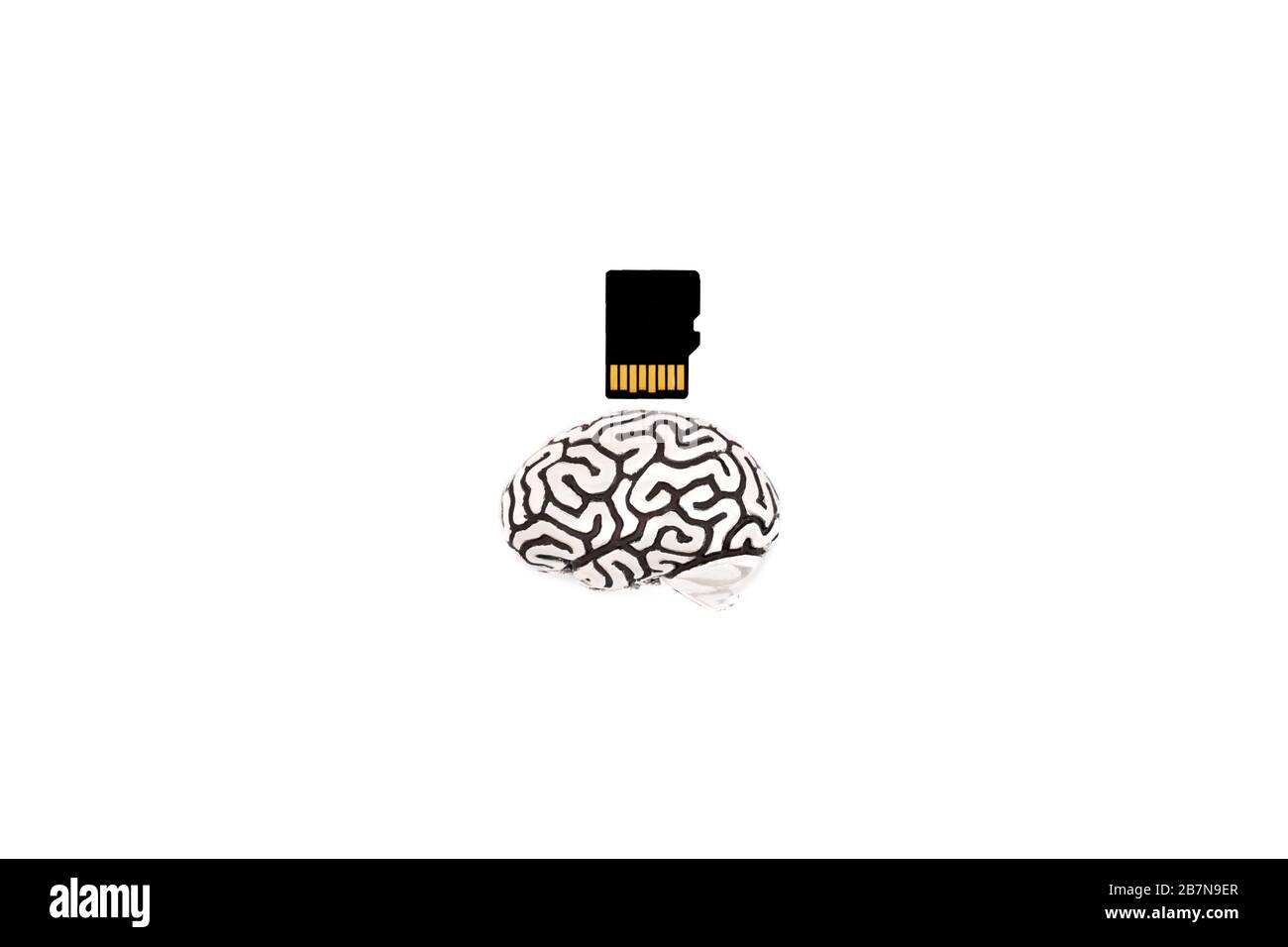 Piccolo modello metallico di cervello umano vicino a una scheda micro SD isolata su bianco. Scatto del profilo. La capacità della memoria del cervello umano aumenta il concetto. Foto Stock
