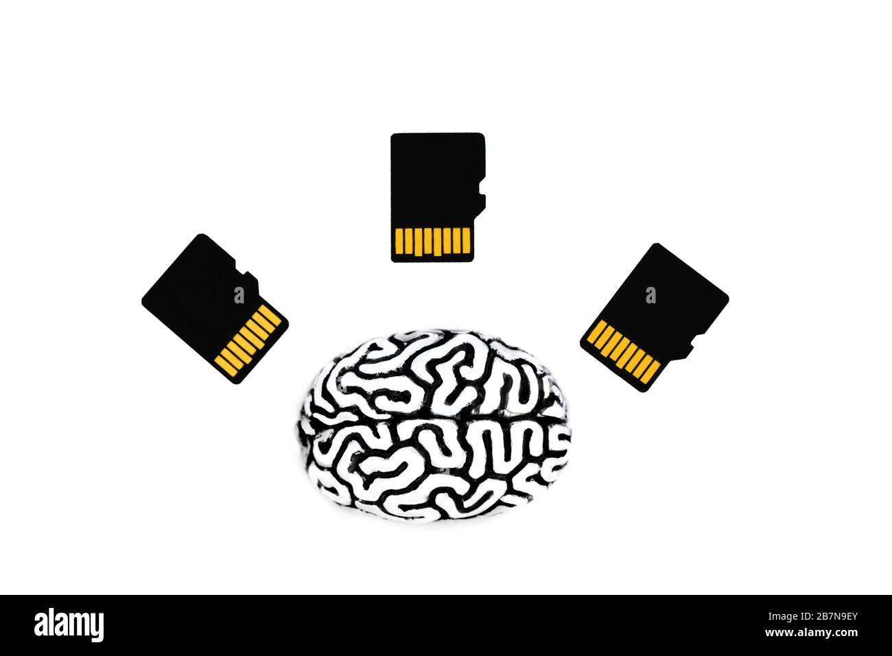 Modello di cervello umano in acciaio con tre schede sd su sfondo bianco. Formazione del cervello, istruzione e concetto di trasferimento delle conoscenze. Foto Stock