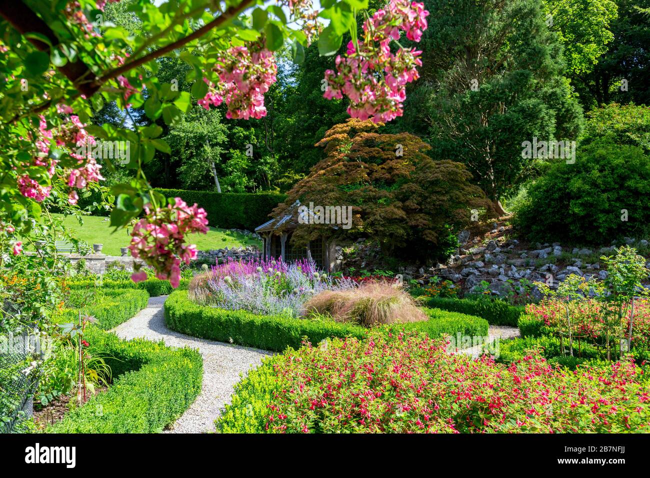 Colore Summmer nel Rose Garden a Tyntesfield House, nr Wraxall, North Somerset, Inghilterra, Regno Unito Foto Stock