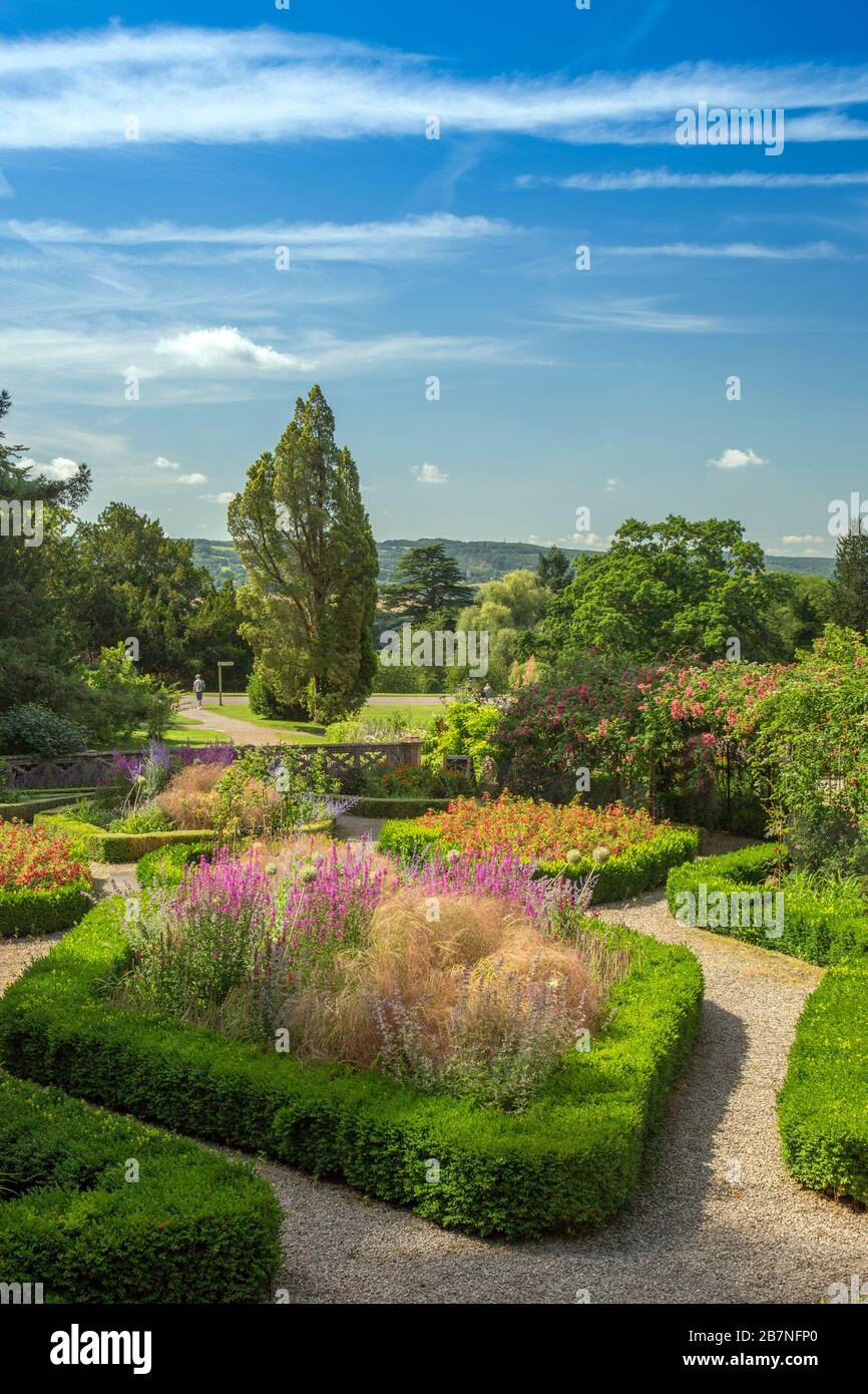Colore Summmer nel Rose Garden a Tyntesfield House, nr Wraxall, North Somerset, Inghilterra, Regno Unito Foto Stock