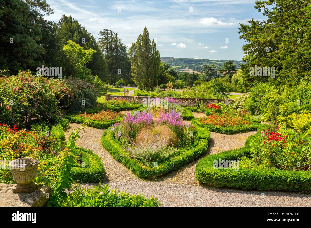 Colore Summmer nel Rose Garden a Tyntesfield House, nr Wraxall, North Somerset, Inghilterra, Regno Unito Foto Stock