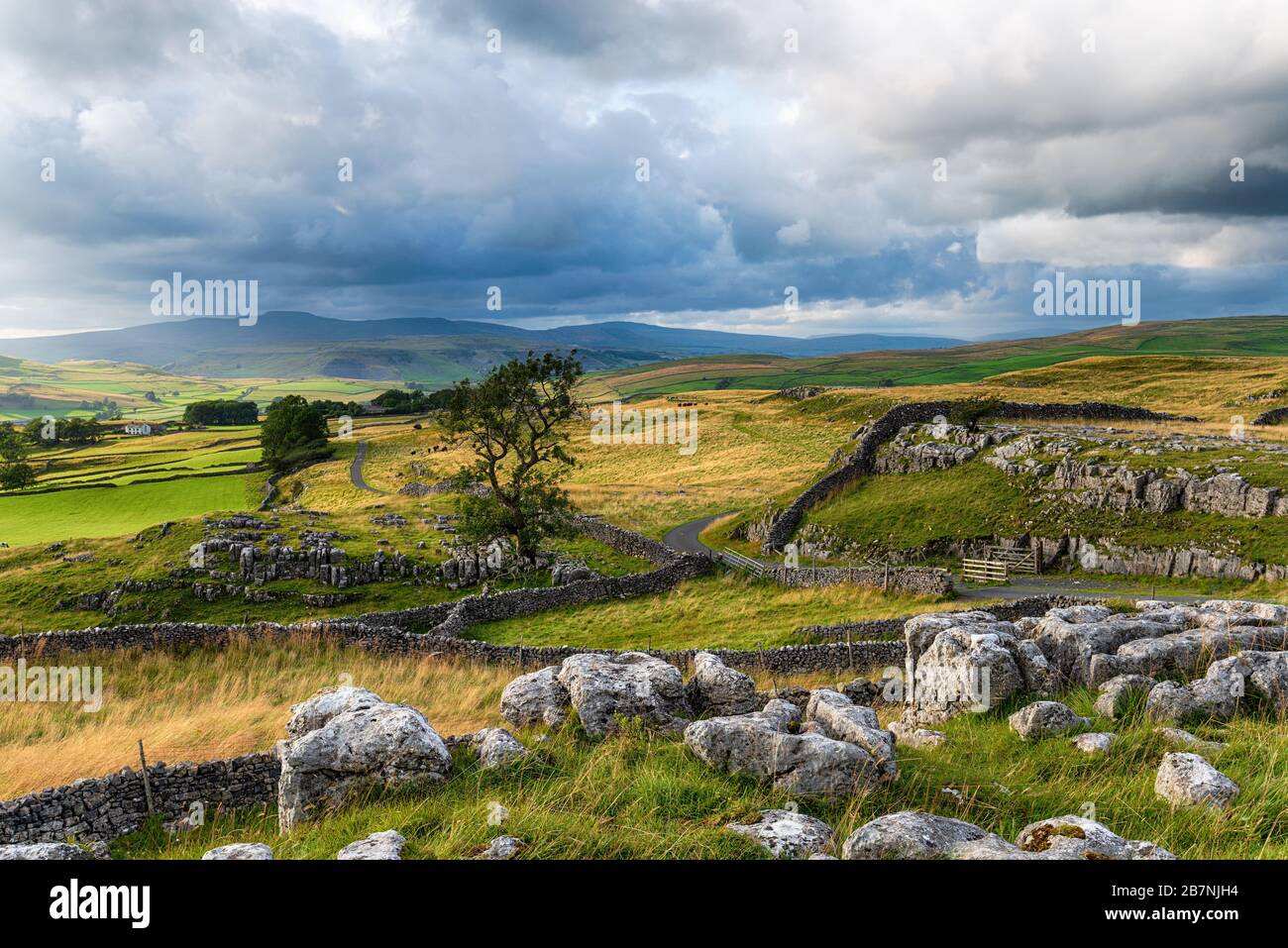 Splendida vista sulle Yorkshire Dales al Winskill Stones vicino Settle Foto Stock