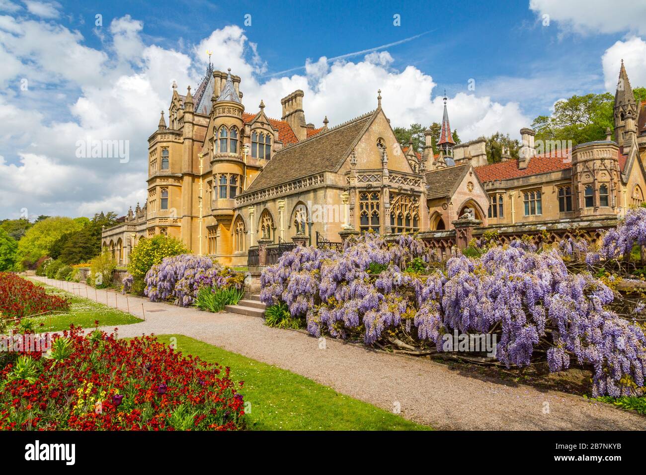 Una colorata esposizione di glicine e fiori da parete nel giardino di Tyntesfield House, North Somerset, Inghilterra, Regno Unito Foto Stock