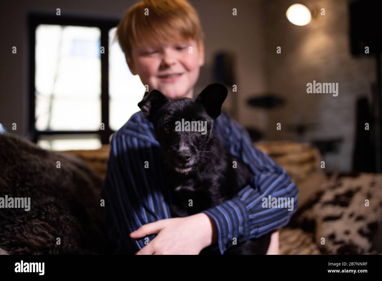 ragazzino con il cane a casa Foto Stock