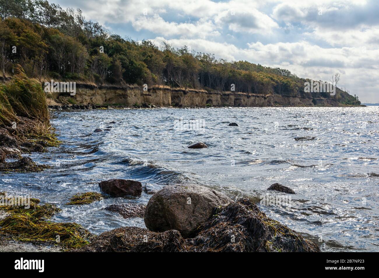 La costa ripida di Timmendorf sull'isola di Poel Foto Stock