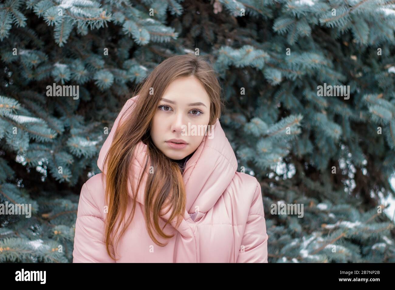 La ragazza carina vicino a snowy albero di Natale Foto Stock