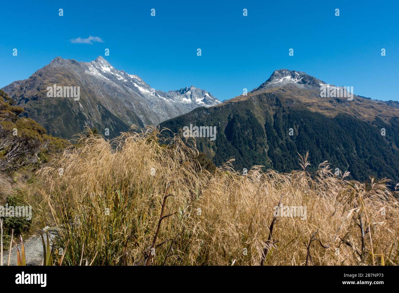 Il Routeburn Track è una classica pista di tram nelle Alpi meridionali della Nuova Zelanda. Una vista dal Key Summit verso il Monte Christina Foto Stock