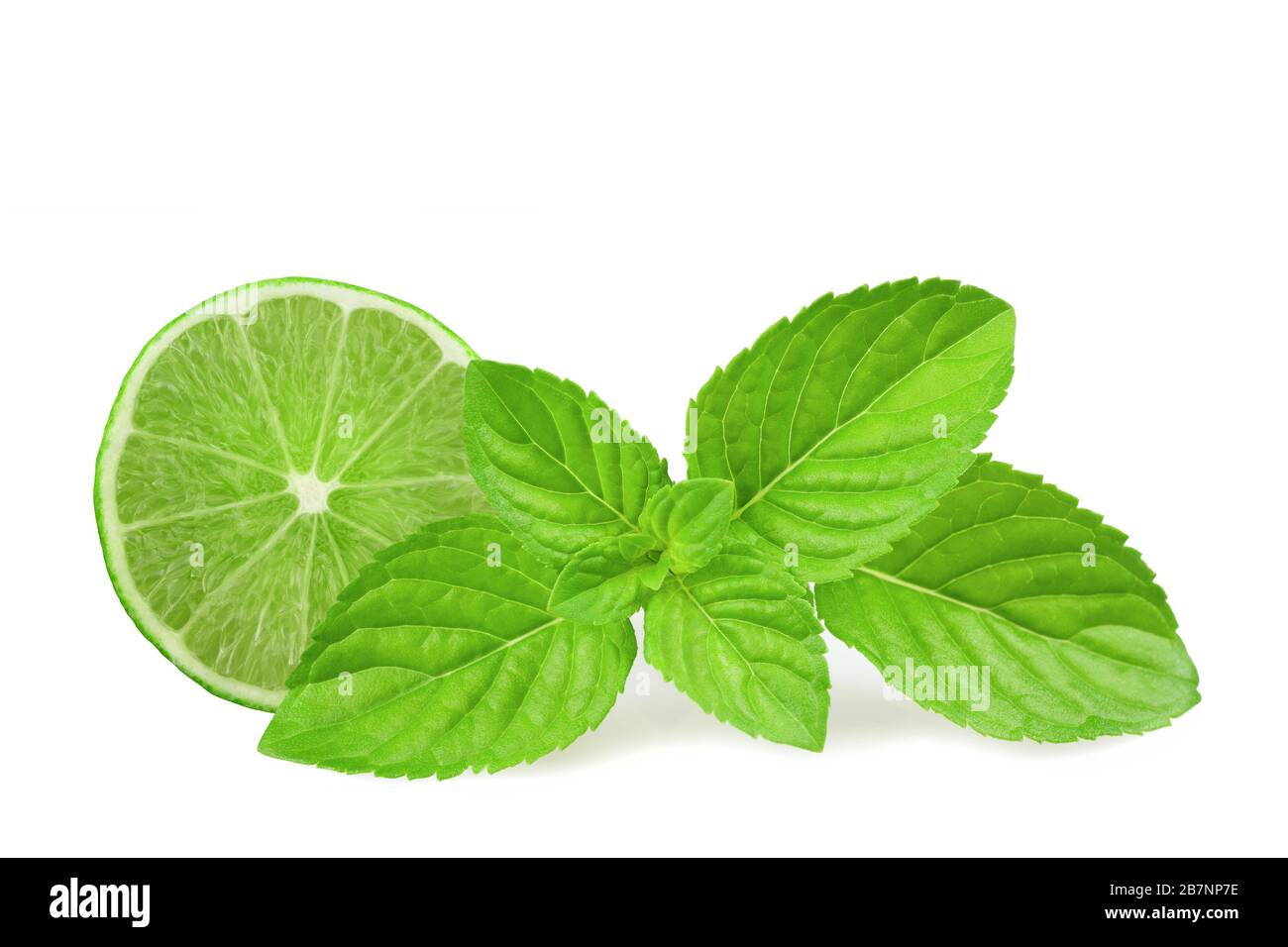Calce e menta isolate su sfondo bianco Foto Stock