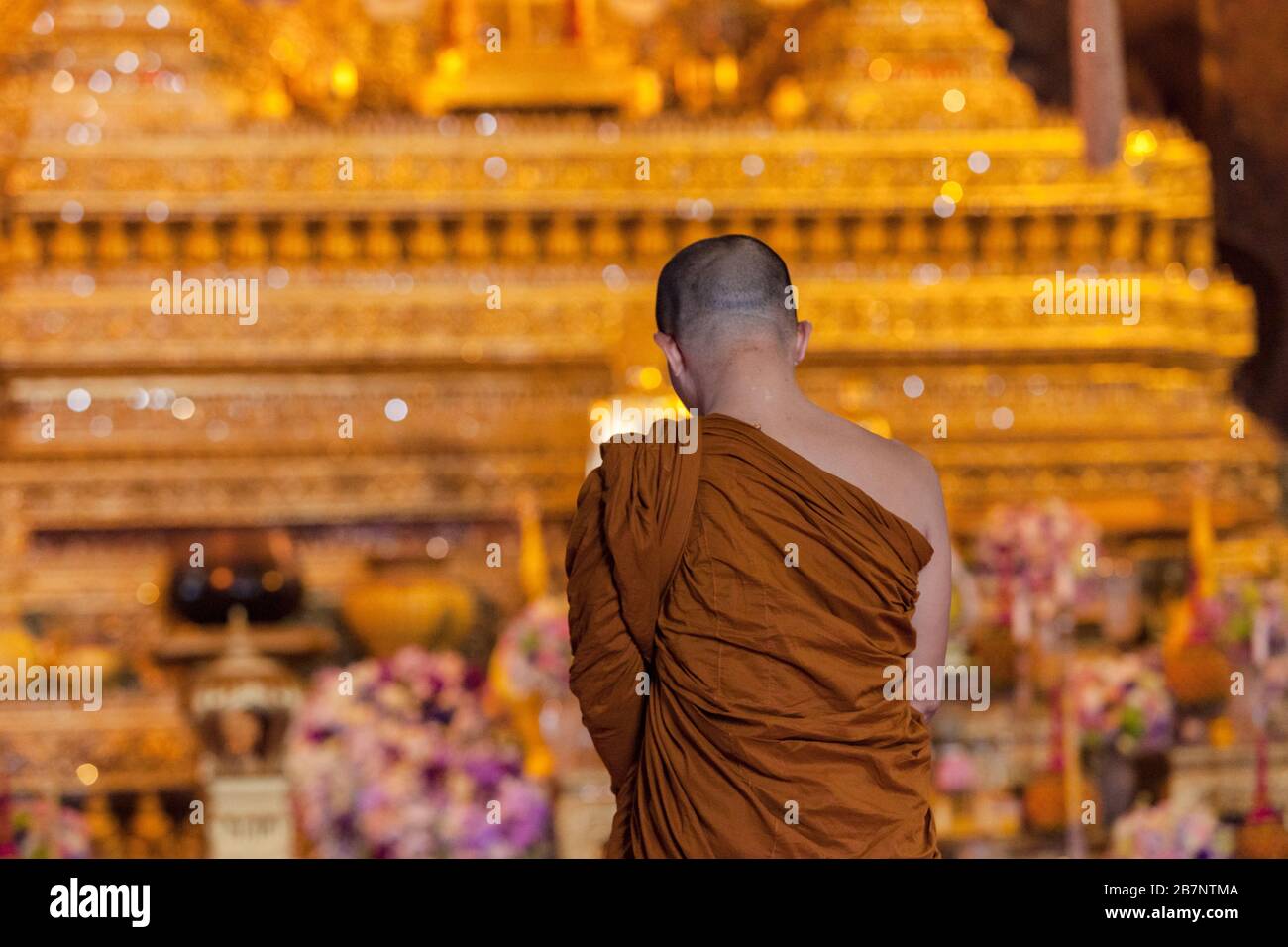 Monaco buddista che prega nel tempio di wat pho Foto Stock