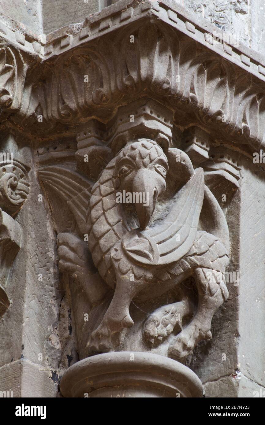 Medievale Bestiario - capitale (12 ° secolo) - Cattedrale di San Pietro - Ginevra Foto Stock