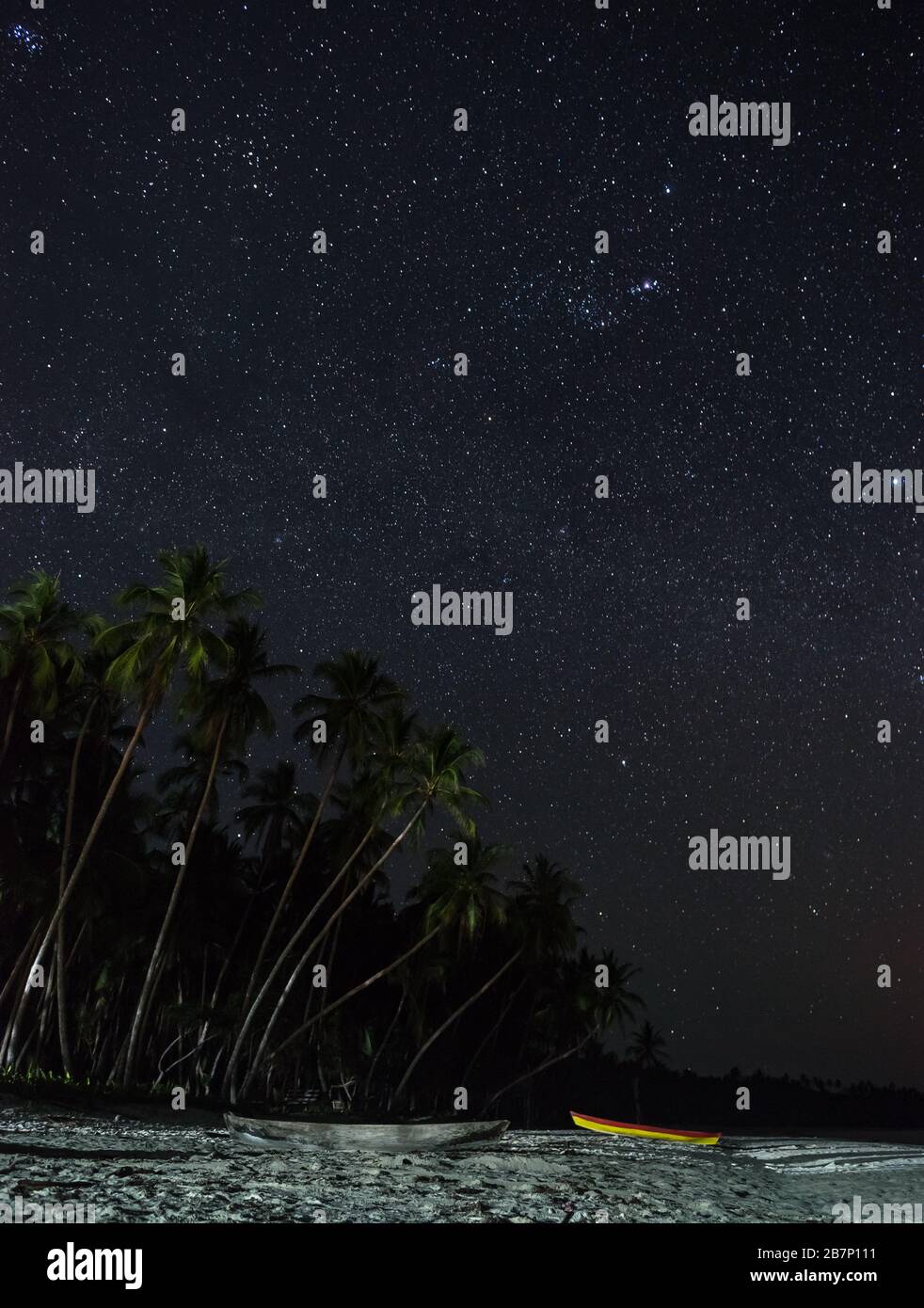 Migliaia di stelle sopra la spiaggia incontaminata piena di palme a Kei kecil, Maluku, Indonesia orientale Foto Stock