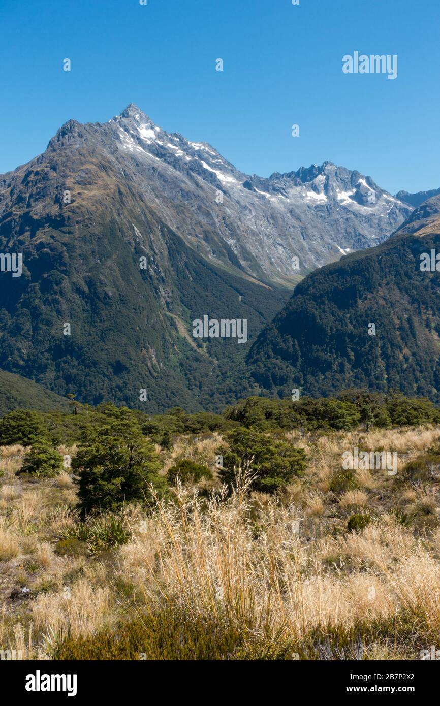 Il Routeburn Track è una classica pista di tram nelle Alpi meridionali della Nuova Zelanda. Una vista dal Key Summit verso il Monte Christina Foto Stock