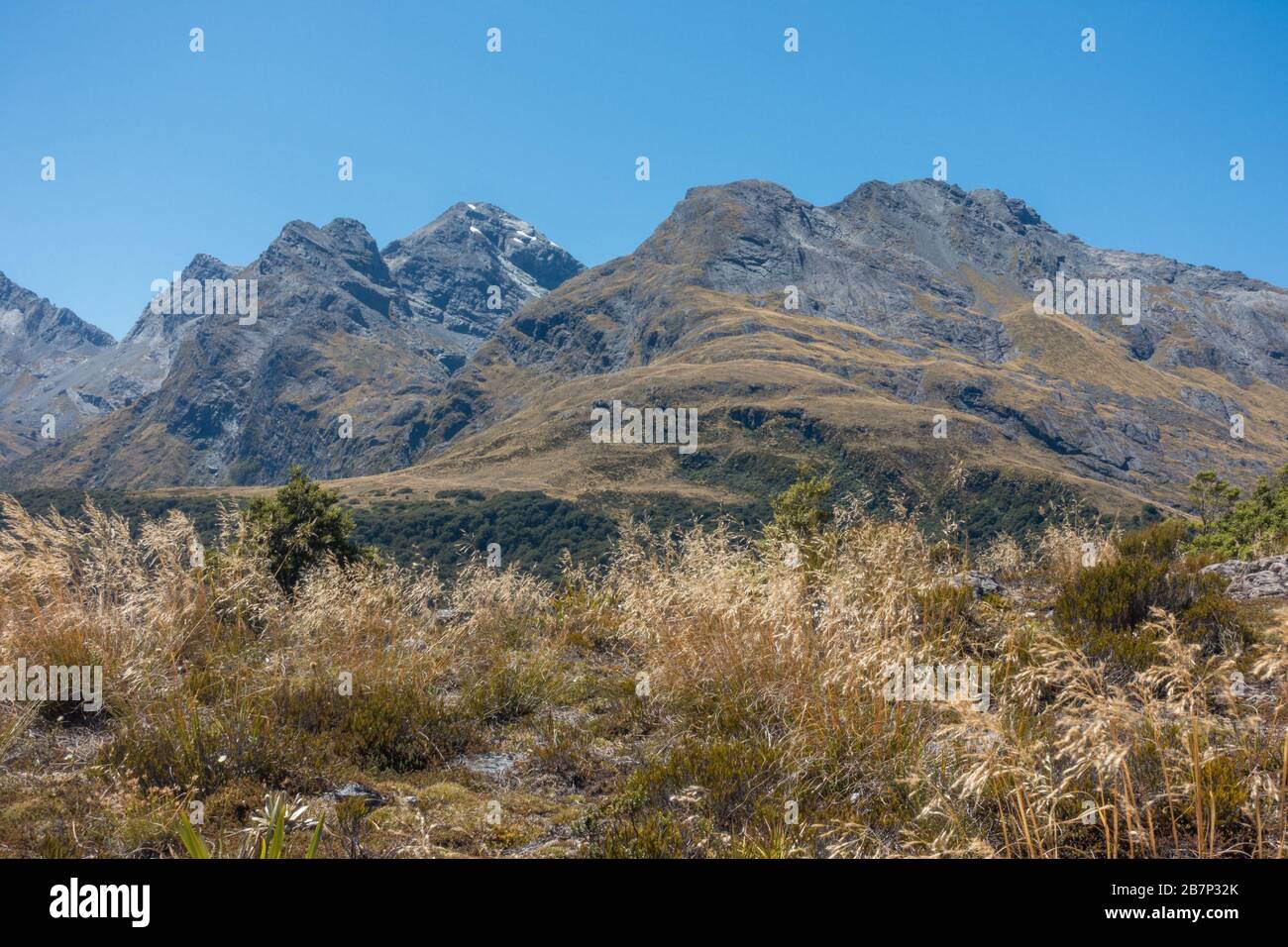 Il Routeburn Track è una classica pista di tram nelle Alpi meridionali della Nuova Zelanda. Una vista dal Key Summit verso il Monte Christina Foto Stock