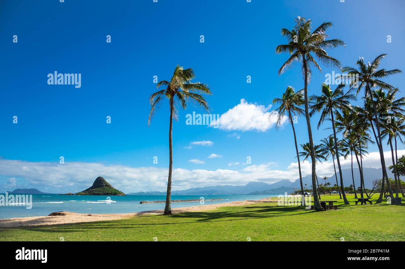 Kualoa parco con Mokoli'i Island (precedentemente noto come il termine obsoleto 'cappello di Chinaman') a distanza in Hawaii Foto Stock