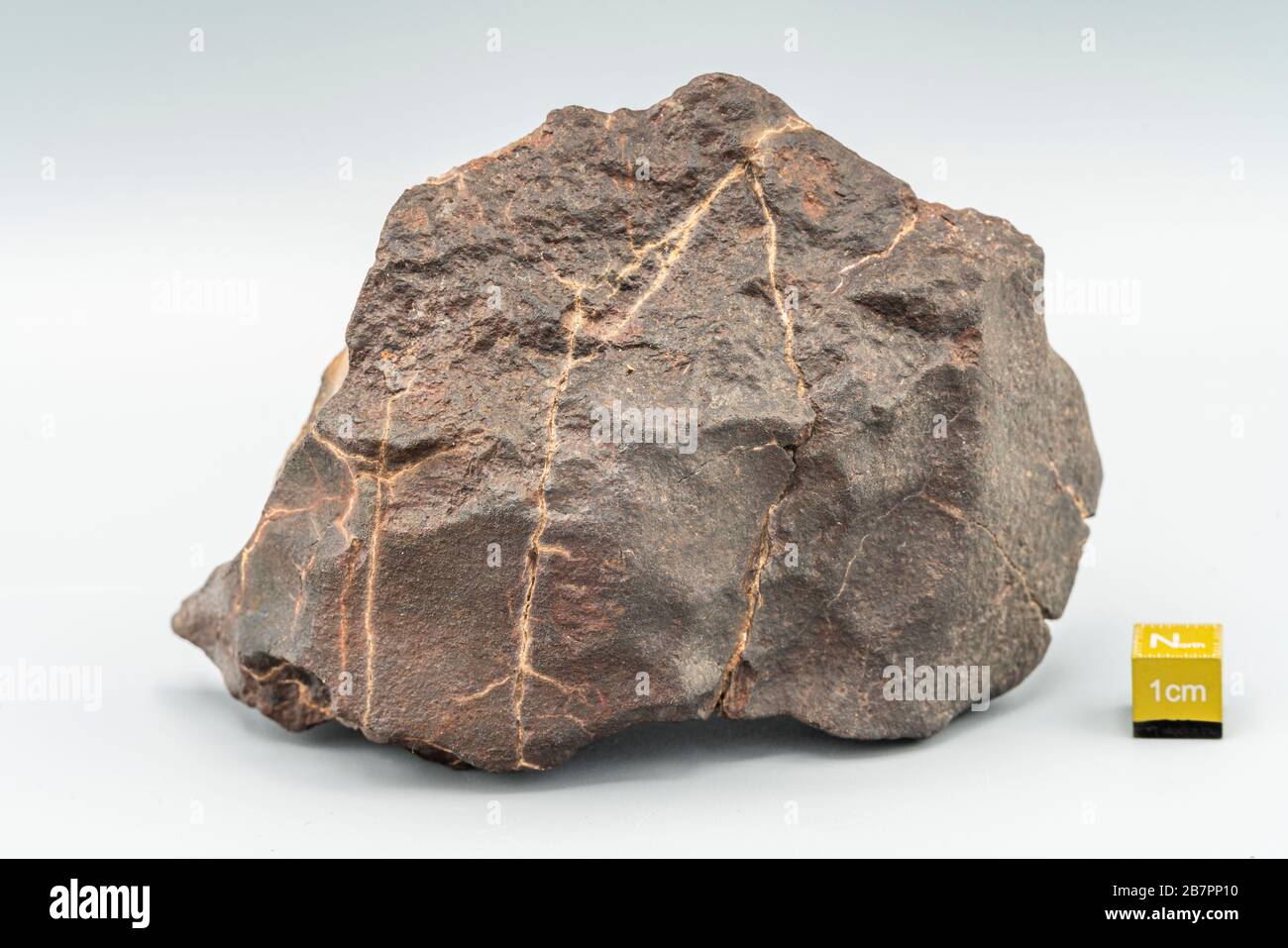 Meteorite di condrite H tipo isolato, pezzo di roccia formato nello spazio esterno nelle fasi iniziali del sistema solare come asteroidi Foto Stock