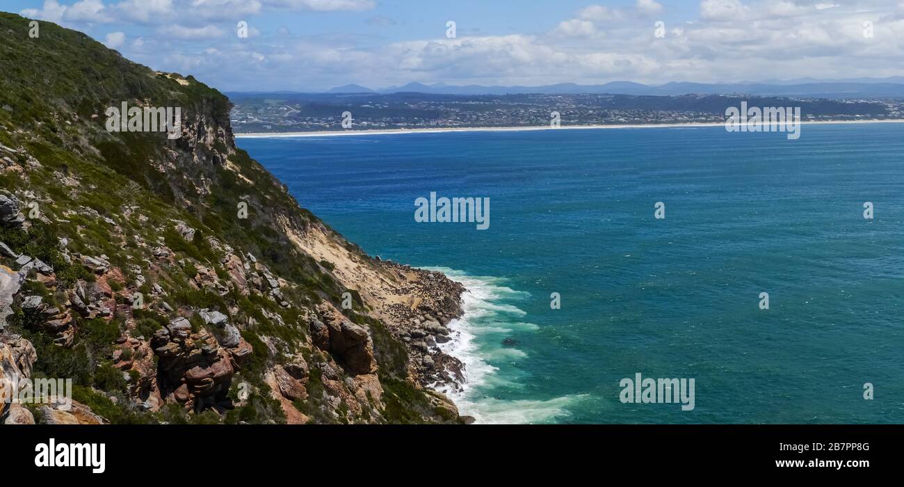 Colonia di foche che bagna il sole e le acque della penisola di Robberg ('Seal Mountain') Foto Stock