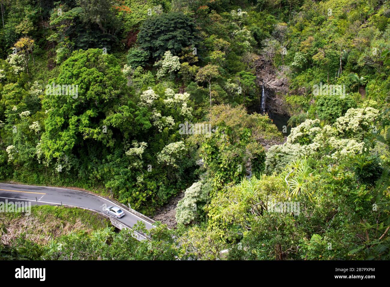 L'auto viaggia su un ponte di corsia attraverso il lussureggiante fogliame della giungla nelle Hawaii con cascata sullo sfondo. Foto Stock