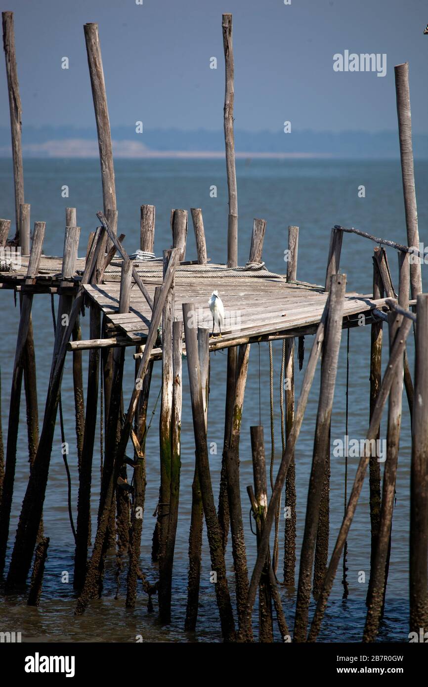 Molo Carrasqueira. Estuario del fiume Sado. Portogallo Foto Stock