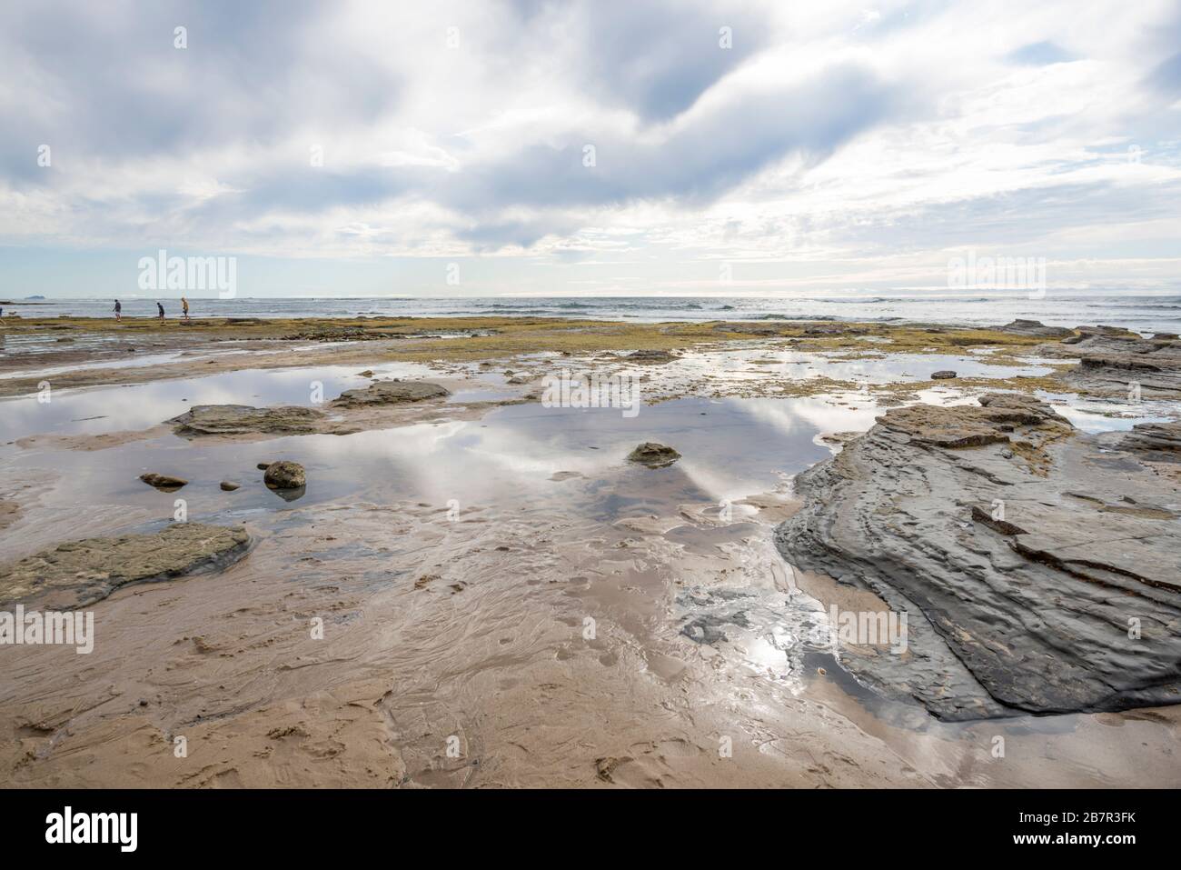 Pomeriggio invernale costiero al Sunset Cliffs Natural Park. San Diego, California, Stati Uniti. Foto Stock