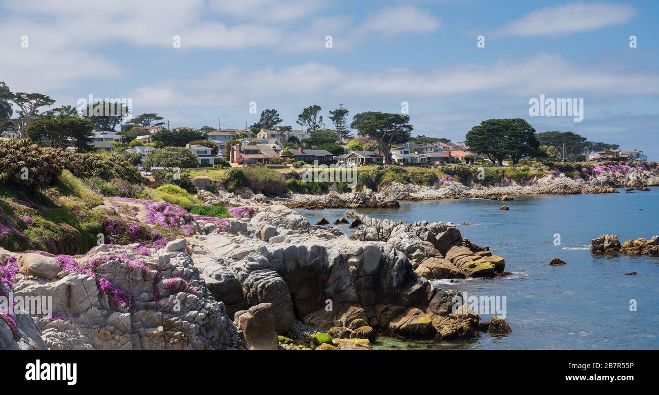 Pacific Grove Beach con fiori primaverili, California Foto Stock