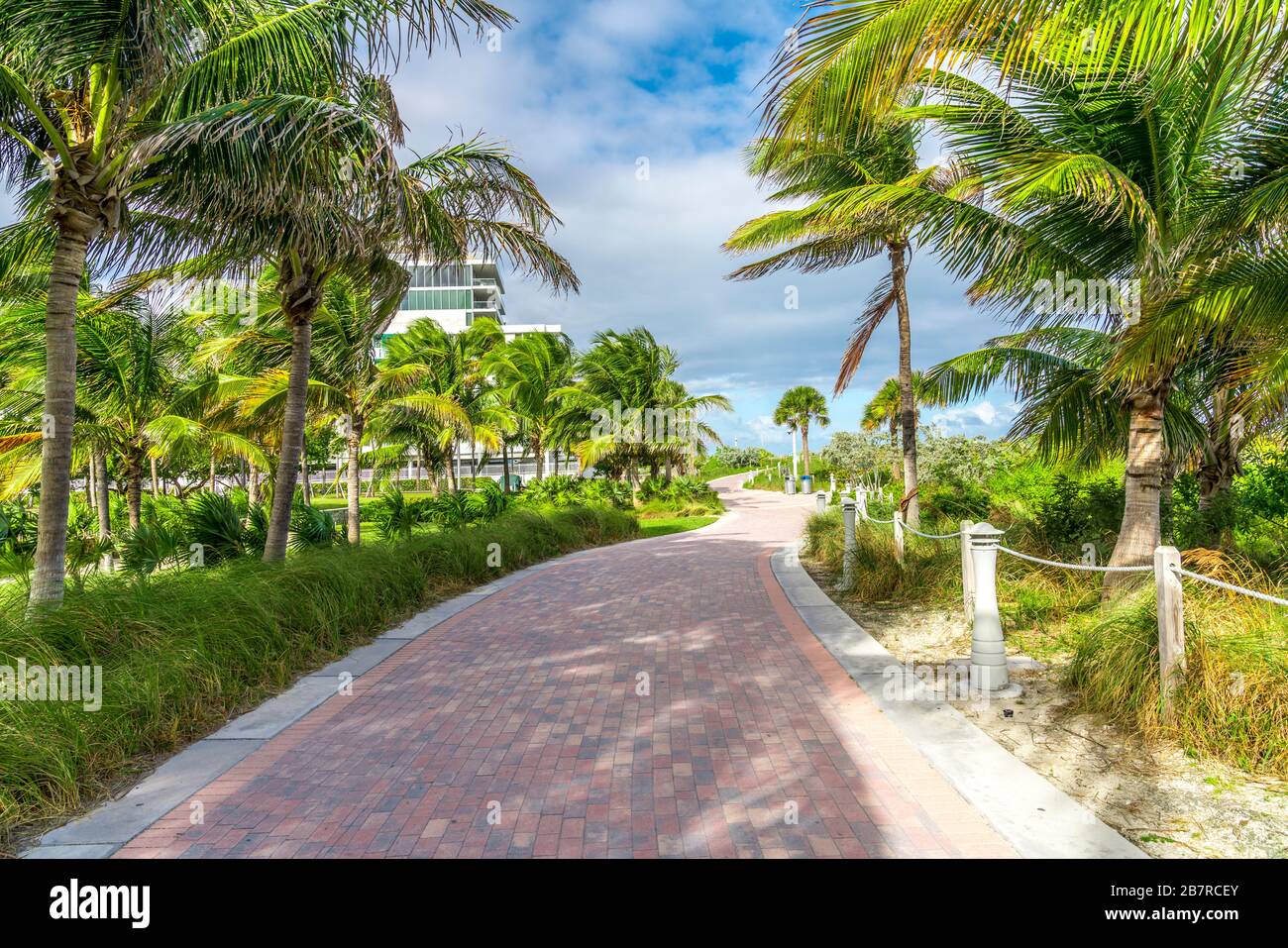 Passerella con palme a Miami Beach, Florida Foto Stock