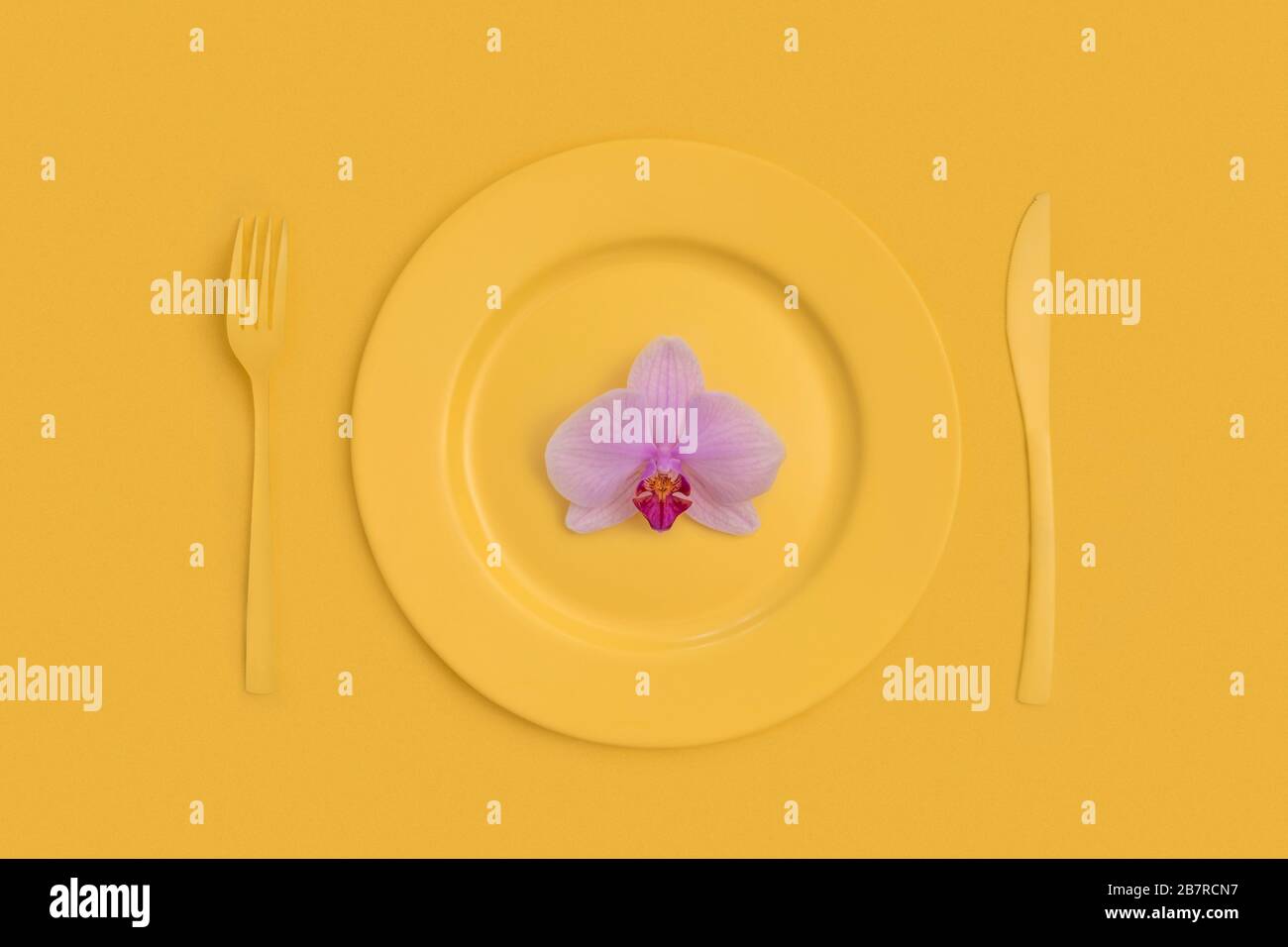 Fiore di Orchidea rosa sulla parte superiore su un piatto giallo, coltello e forchetta. Su sfondo giallo. La vista dall'alto. Foto Stock
