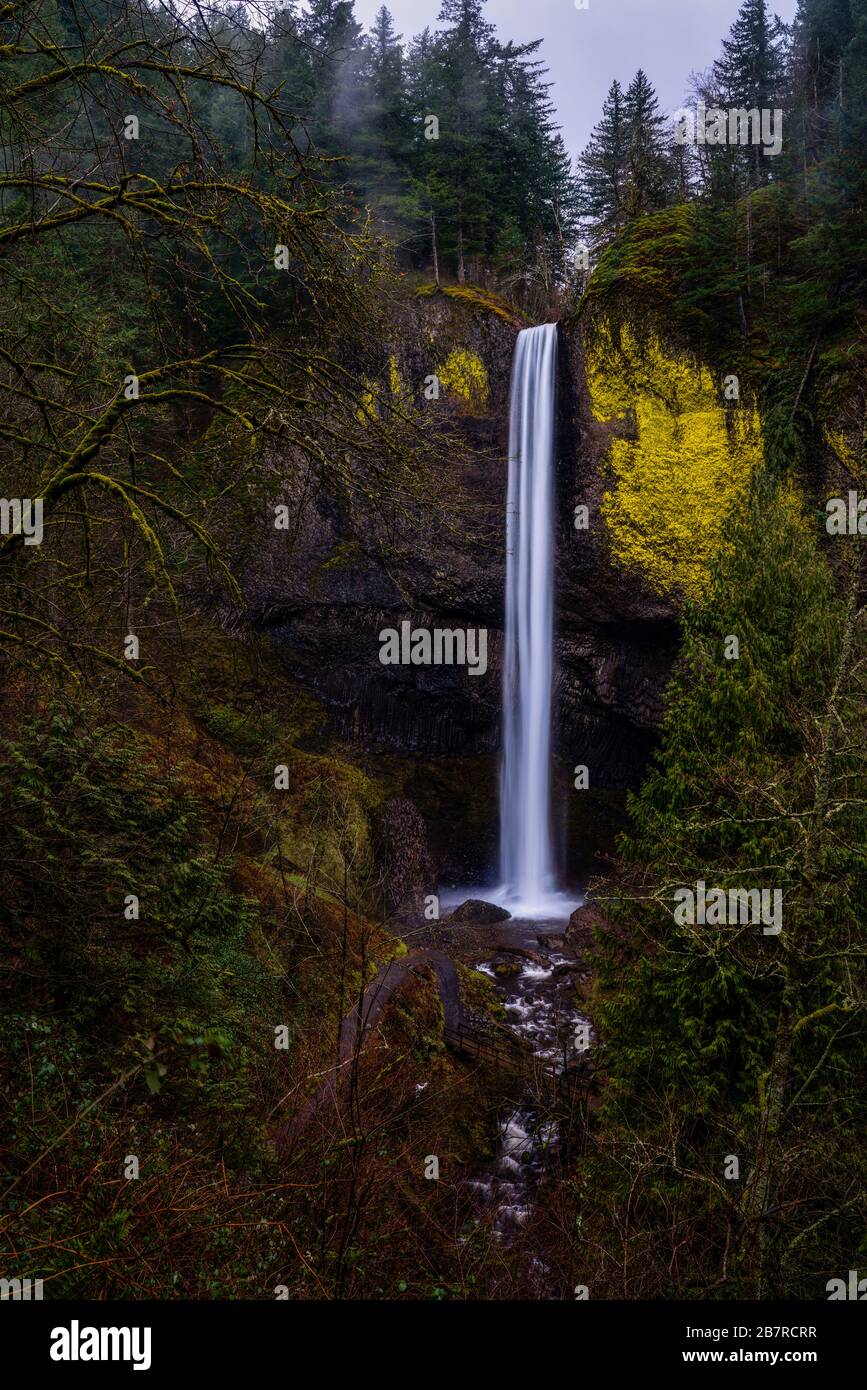 Cascata in Oregon Foto Stock