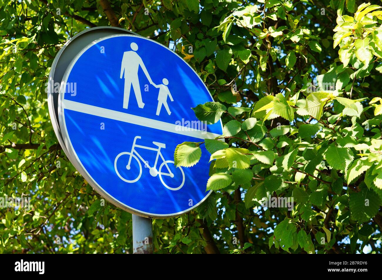 Segno blu con un uomo anziano, un bambino e una bicicletta circondata da alberi e foglie Foto Stock