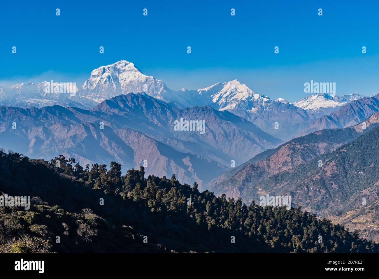 Vista maestosa della catena montuosa di Dhaulagiri sette più alte Pokhara Nepal Foto Stock