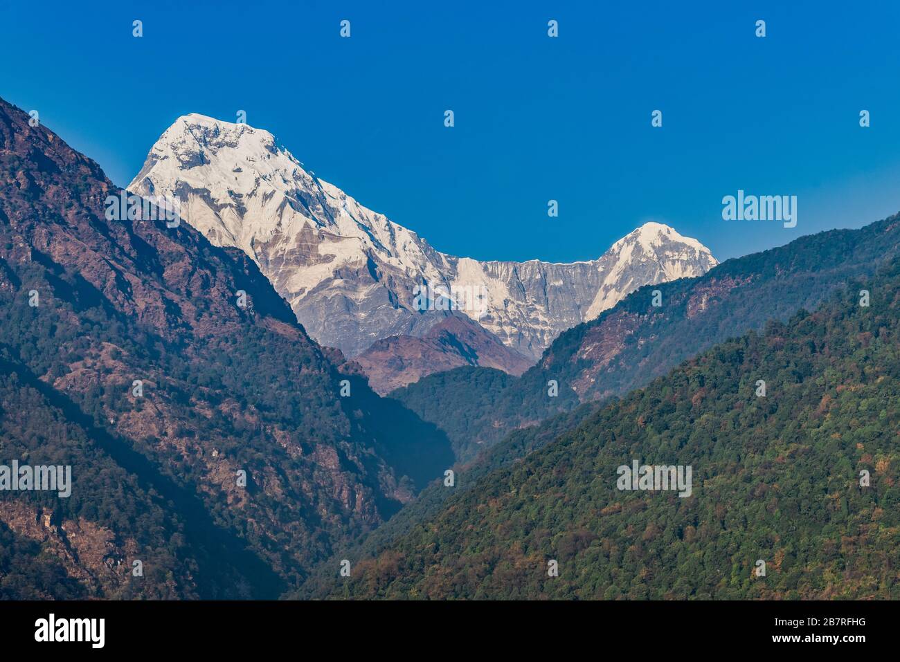 Vista maestosa di Annapurna sud e Himchuli da Poonhill Ghorepani Nepal Foto Stock