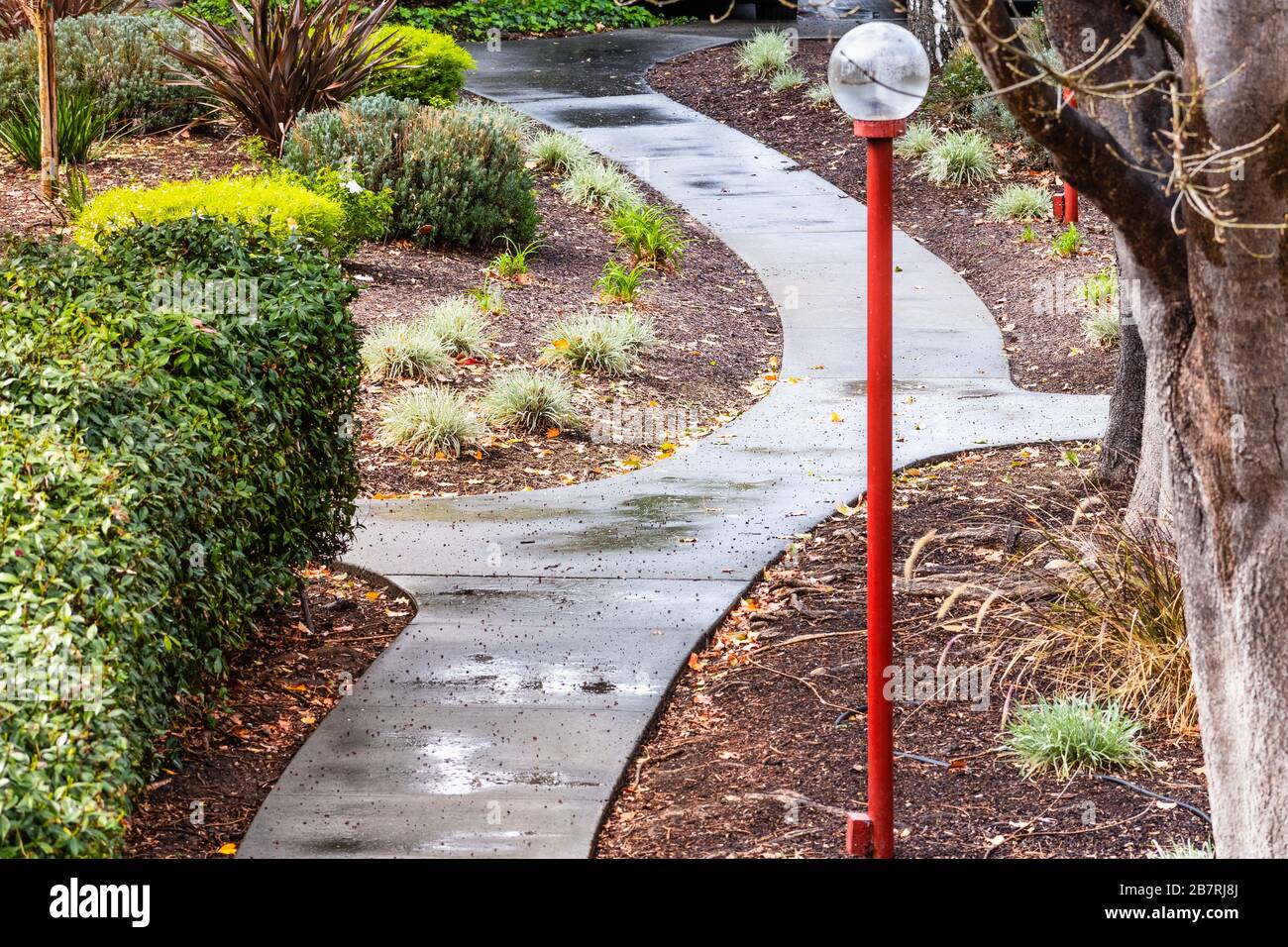 Sentiero lastricato bagnato che attraversa un parco in una giornata piovosa; California Foto Stock