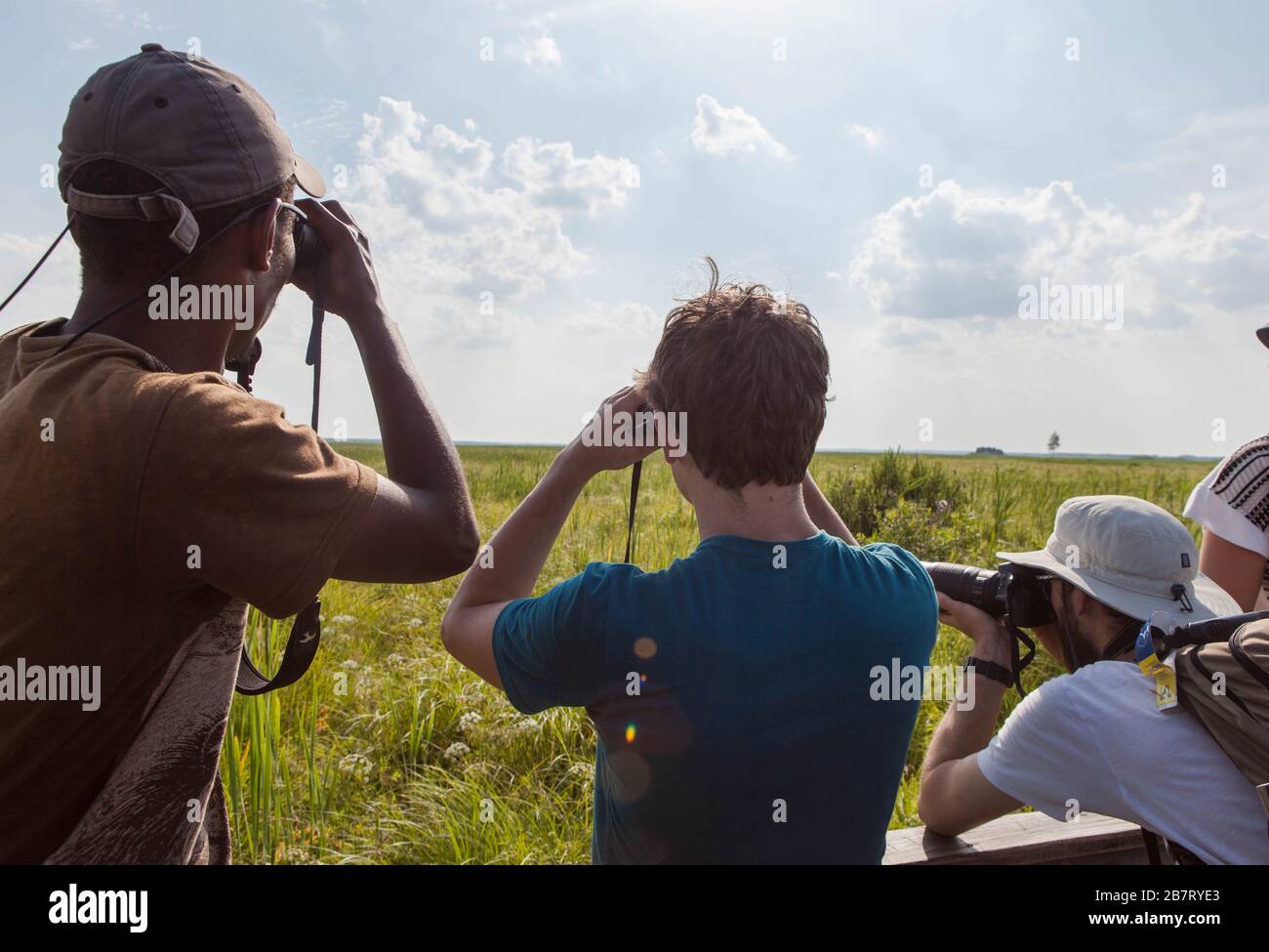 Biebrza National Park Foto Stock