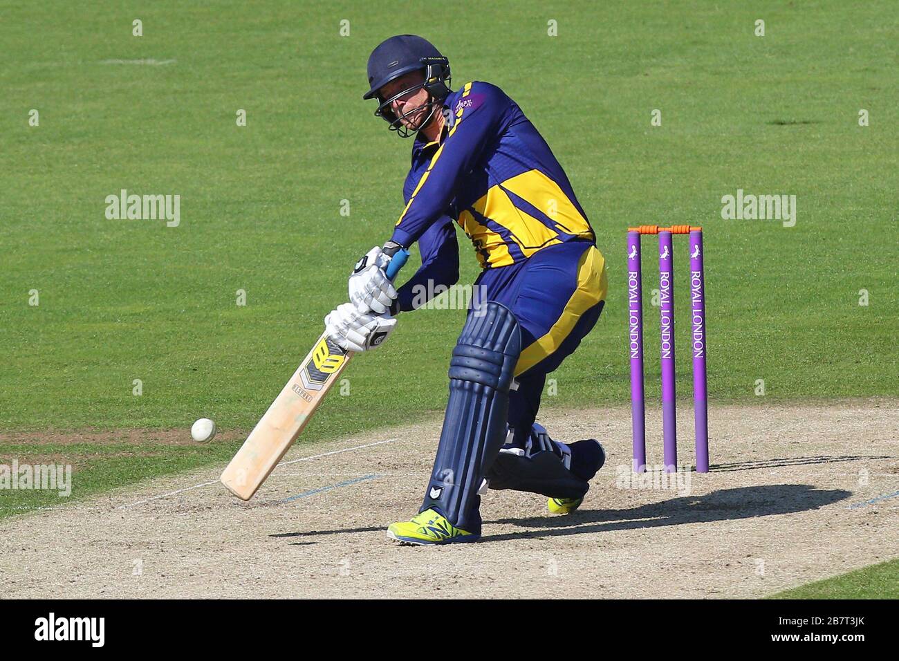 Graham Wagg in azione di batting per Glamorgan Foto Stock