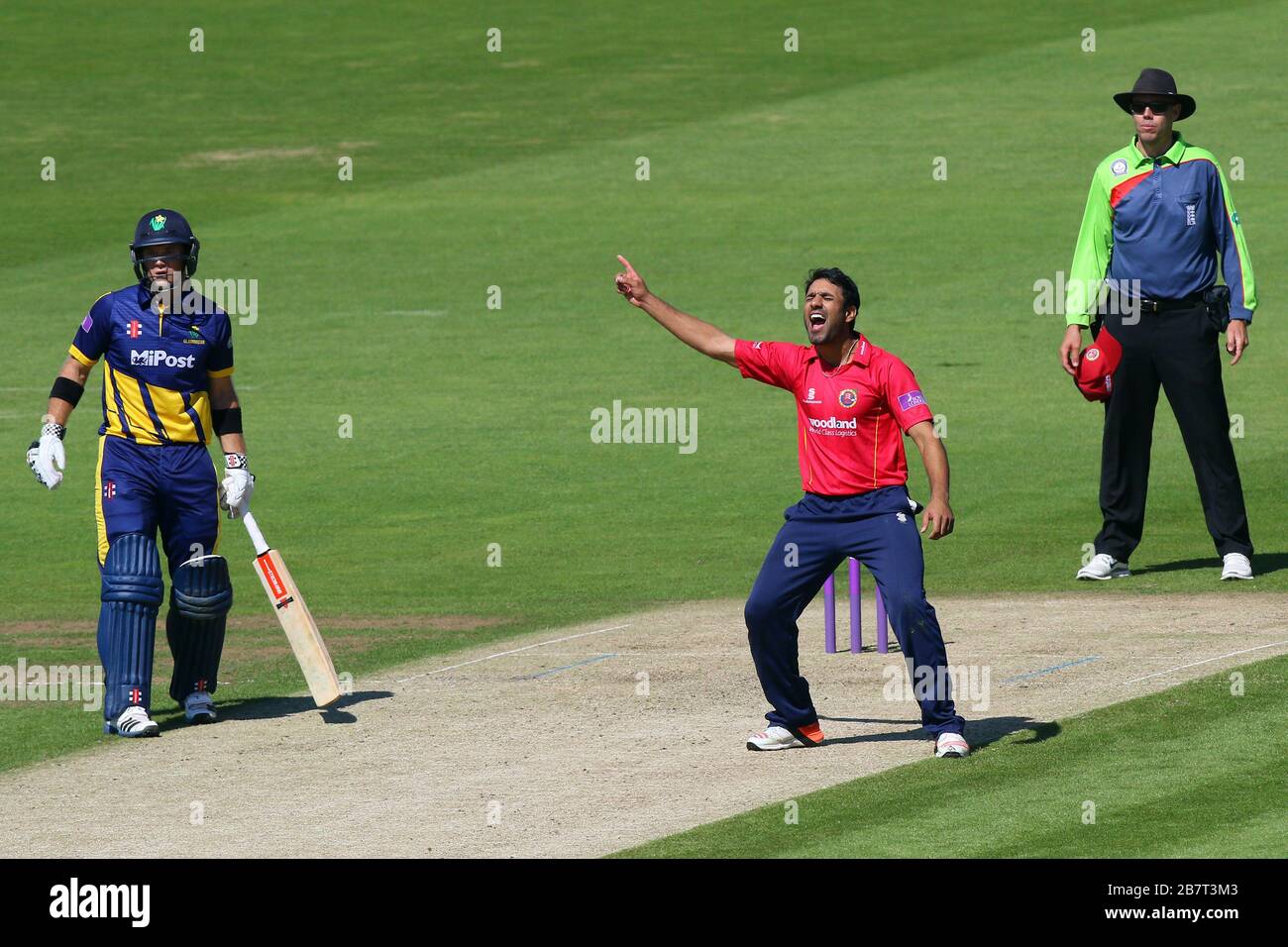 Ravi Bopara di Essex Eagles rivendica il wicket di Aneurin Donald Foto Stock