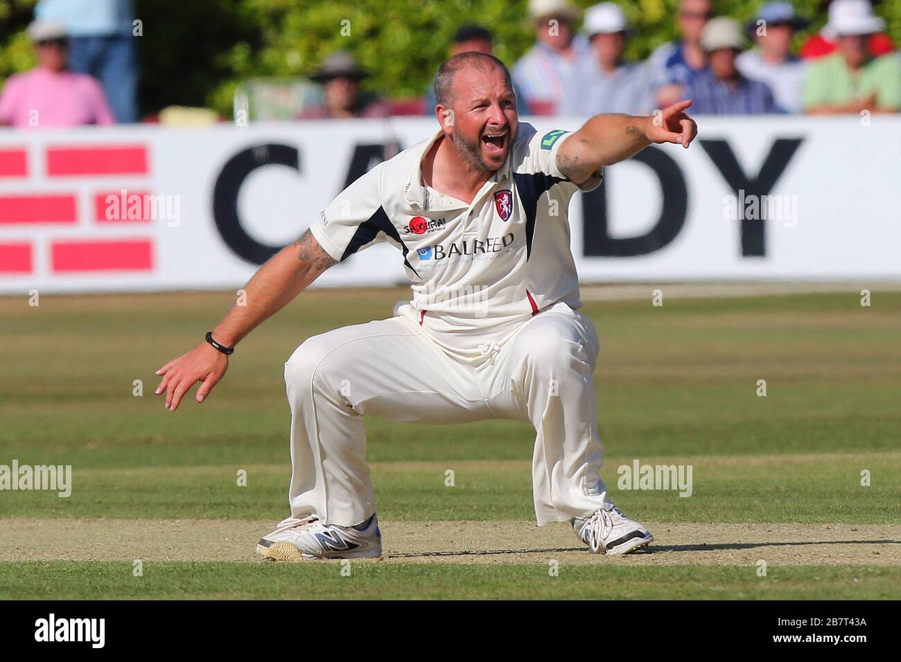 Darren Stevens del Kent appelli con successo per il wicket di Ryan ten Doeschate Foto Stock
