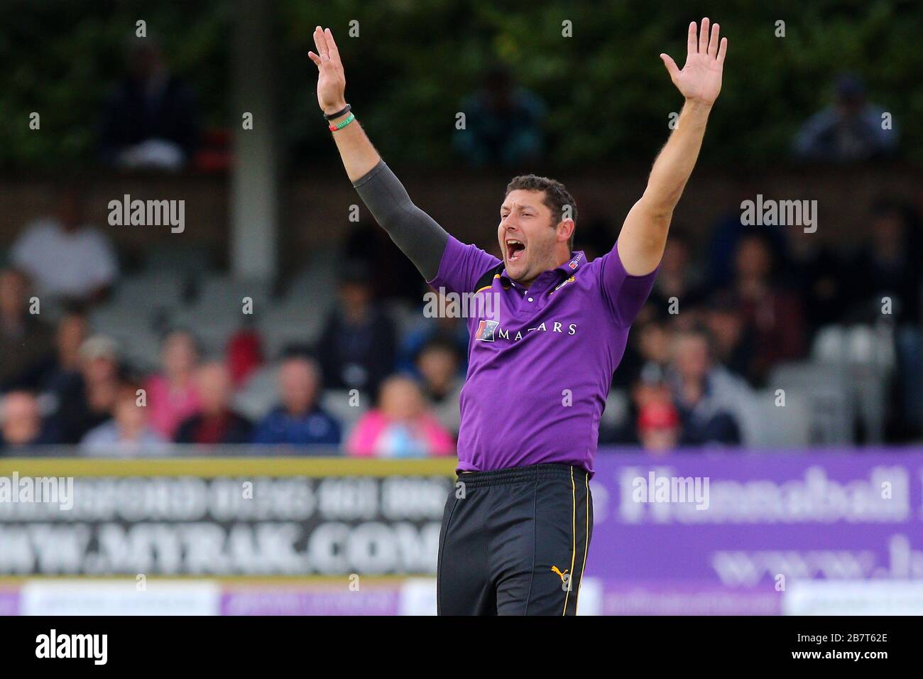 Tim Brennan di Yorkshire Vikings appelli per il wicket di Mark Pettini Foto Stock