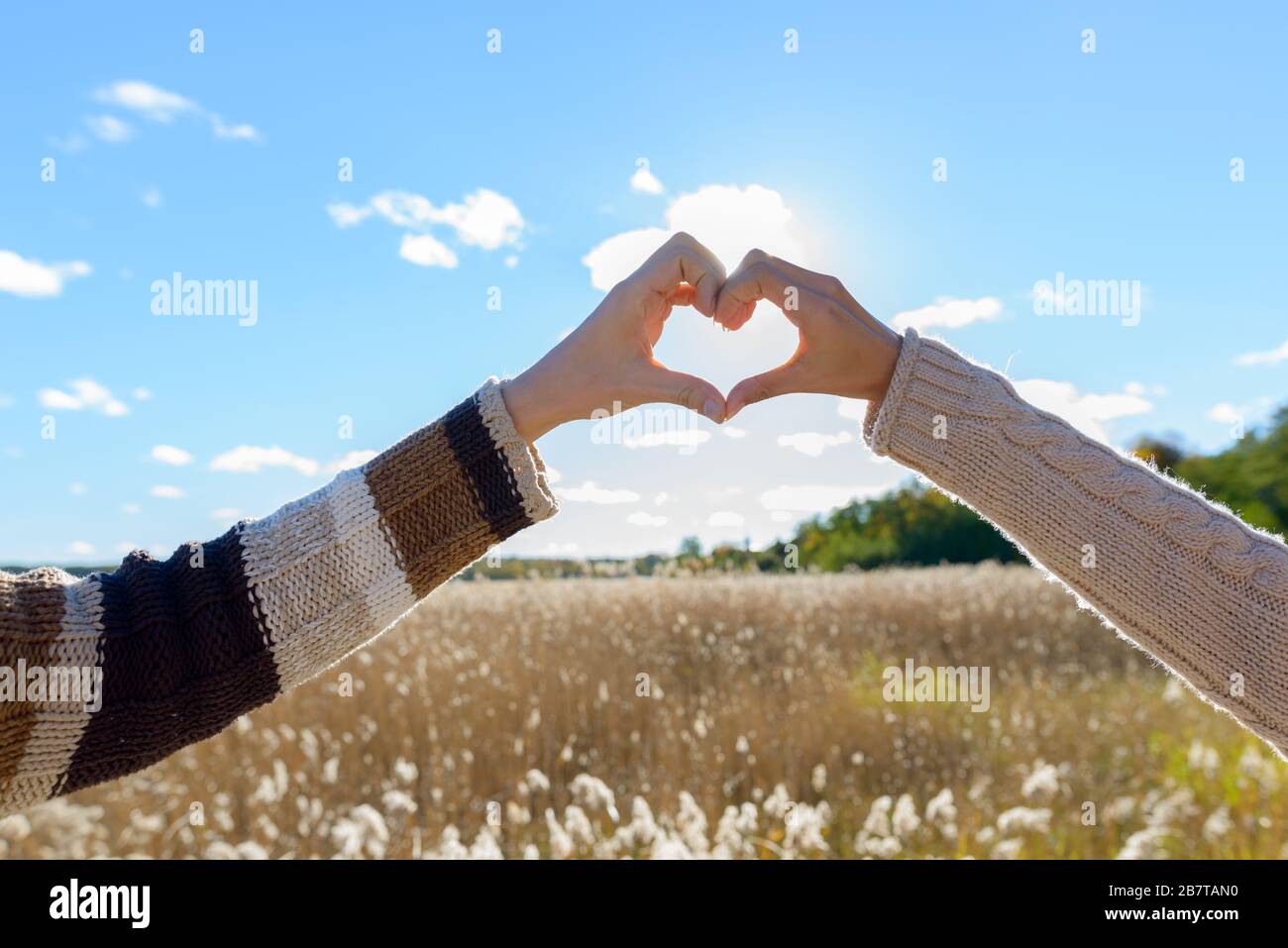 Giovane coppia che fa il cuore di mano insieme verso il sole contro la vista panoramica del campo di bullrush autunnale Foto Stock