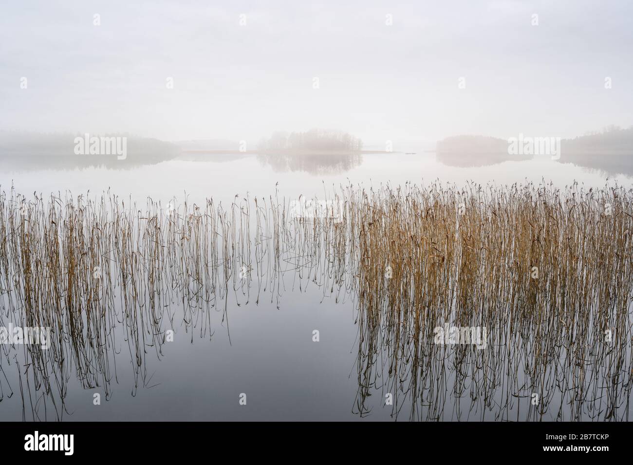 Paesaggio foggy con lago tranquillo. Nebbia sull'acqua. Aria appannata. Mattina presto freddo in autunno. Bel momento di libertà e atmosfera tranquilla nella natura Foto Stock