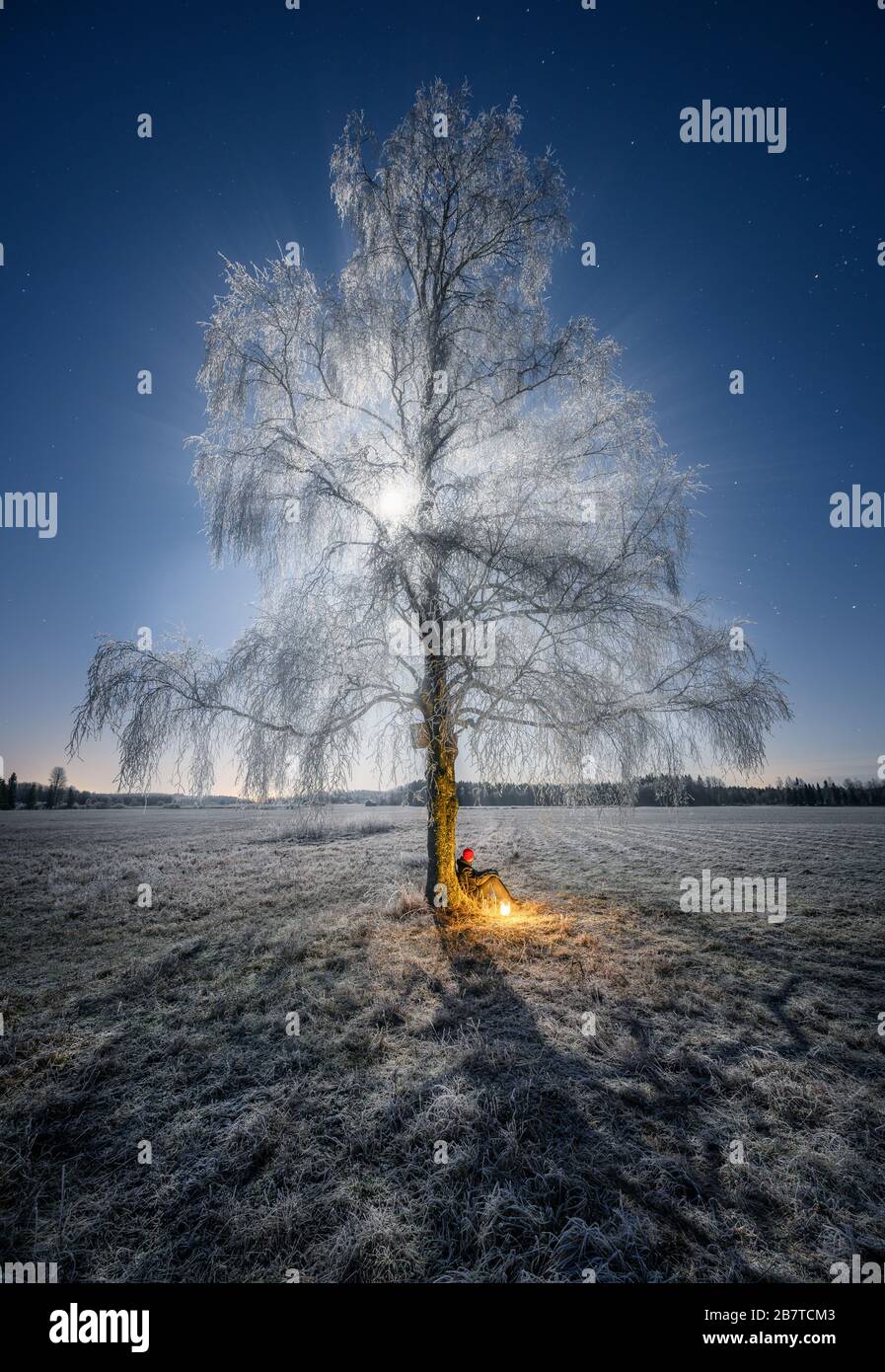 Moonlight mood paesaggio con albero frosty e seduta uomo nella notte invernale in campagna, Finlandia Foto Stock