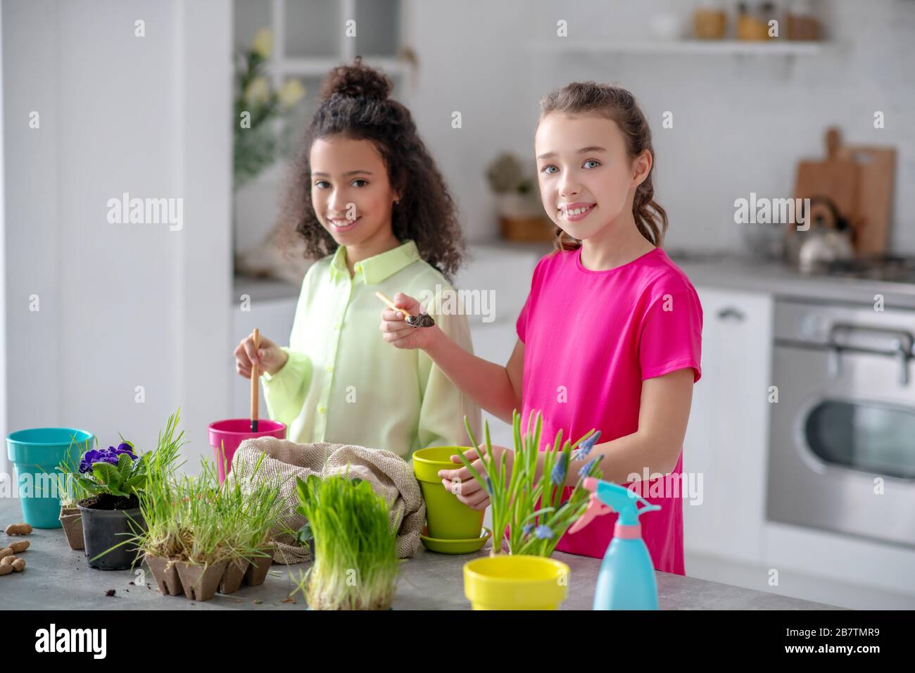 Due ragazze nella cucina a casa piantando piante domestiche. Foto Stock