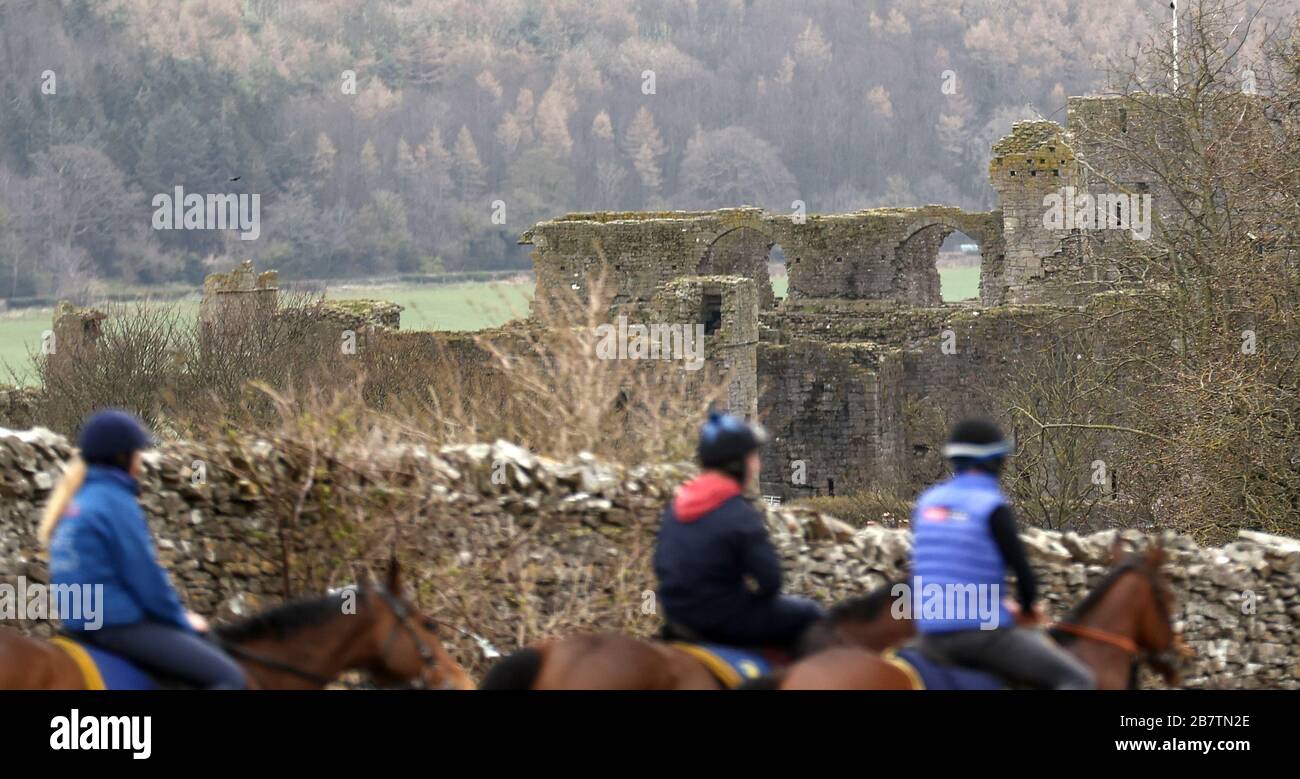 Cavalli al galoppo a Middleham, nello Yorkshire settentrionale. Foto Stock