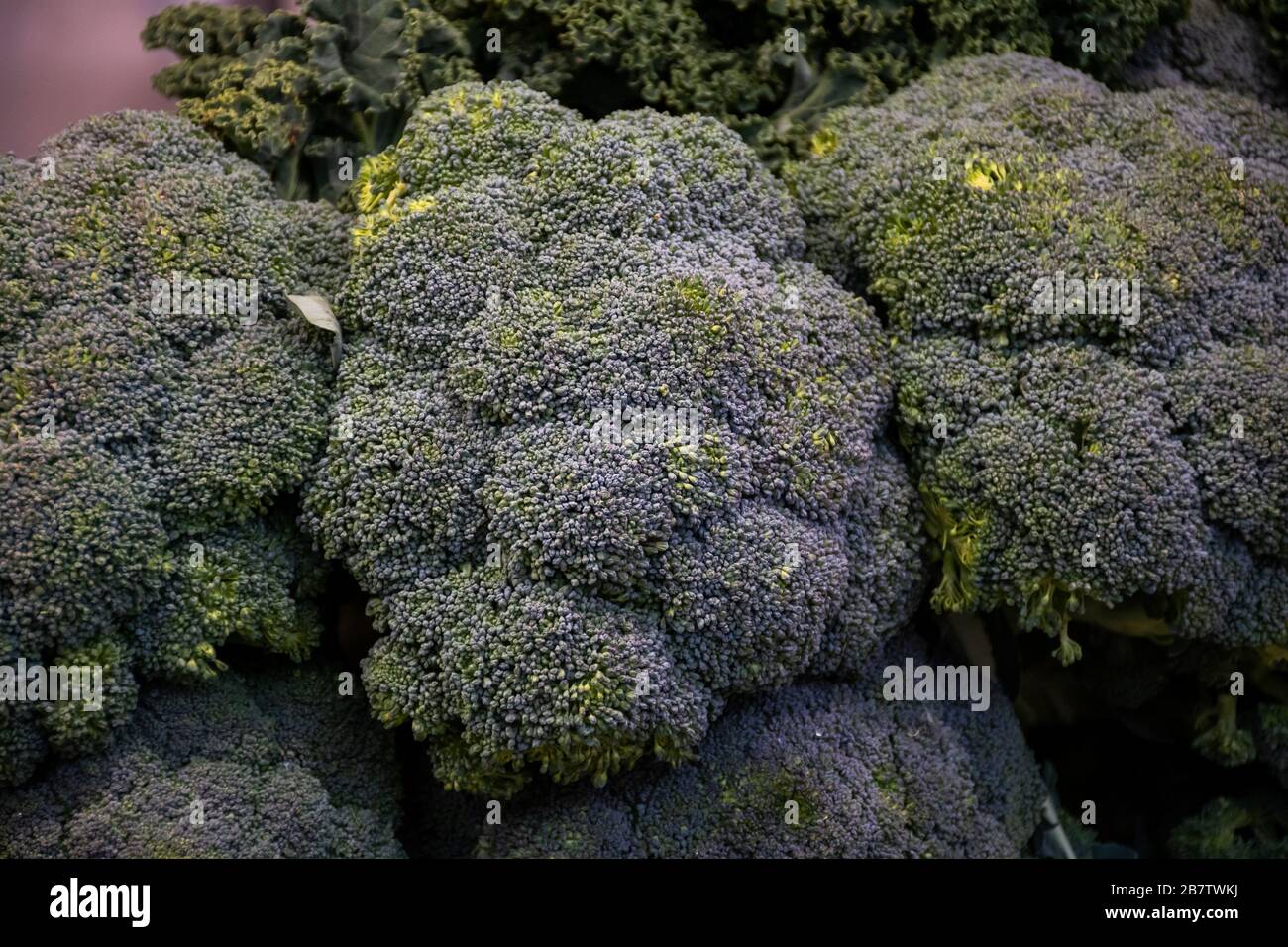 Primo piano di un mazzo di broccoli. Foto Stock